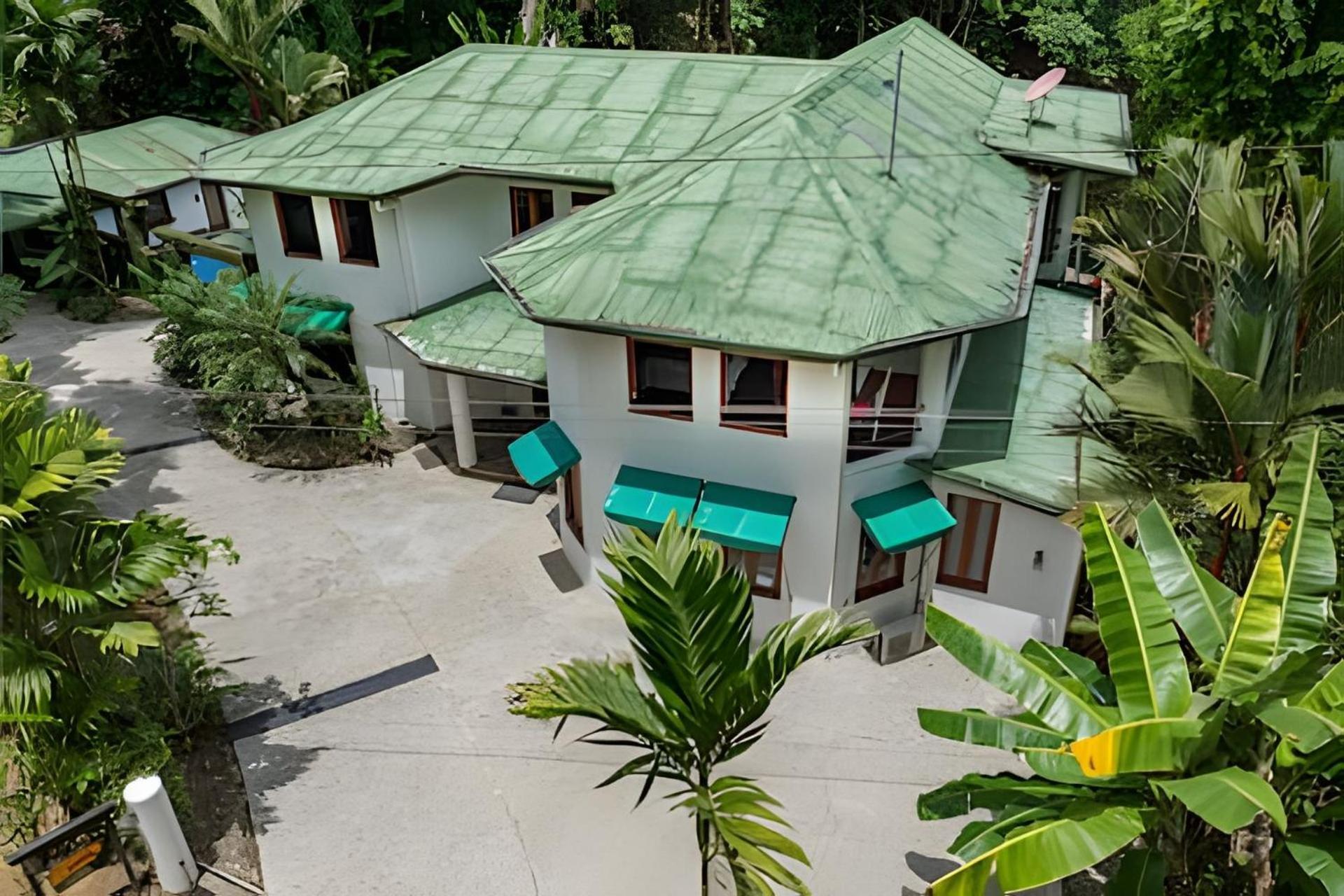 Bed & Breakfast The Jungle *