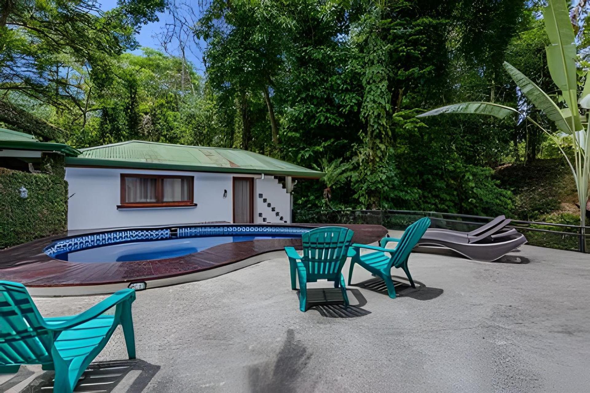 The Jungle Bed & Breakfast