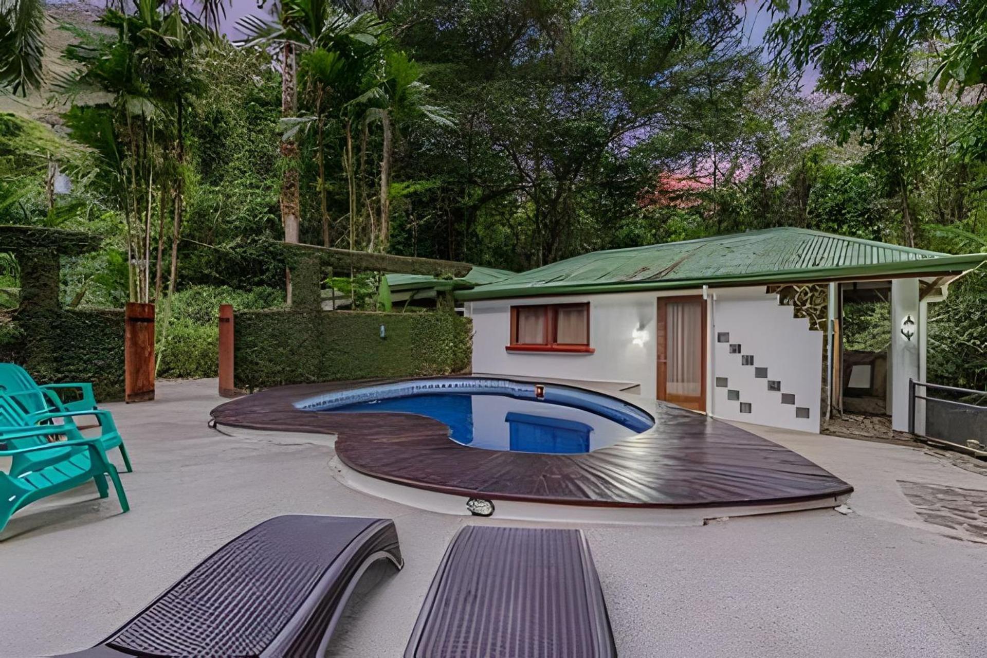 Bed & Breakfast The Jungle Dominicalito