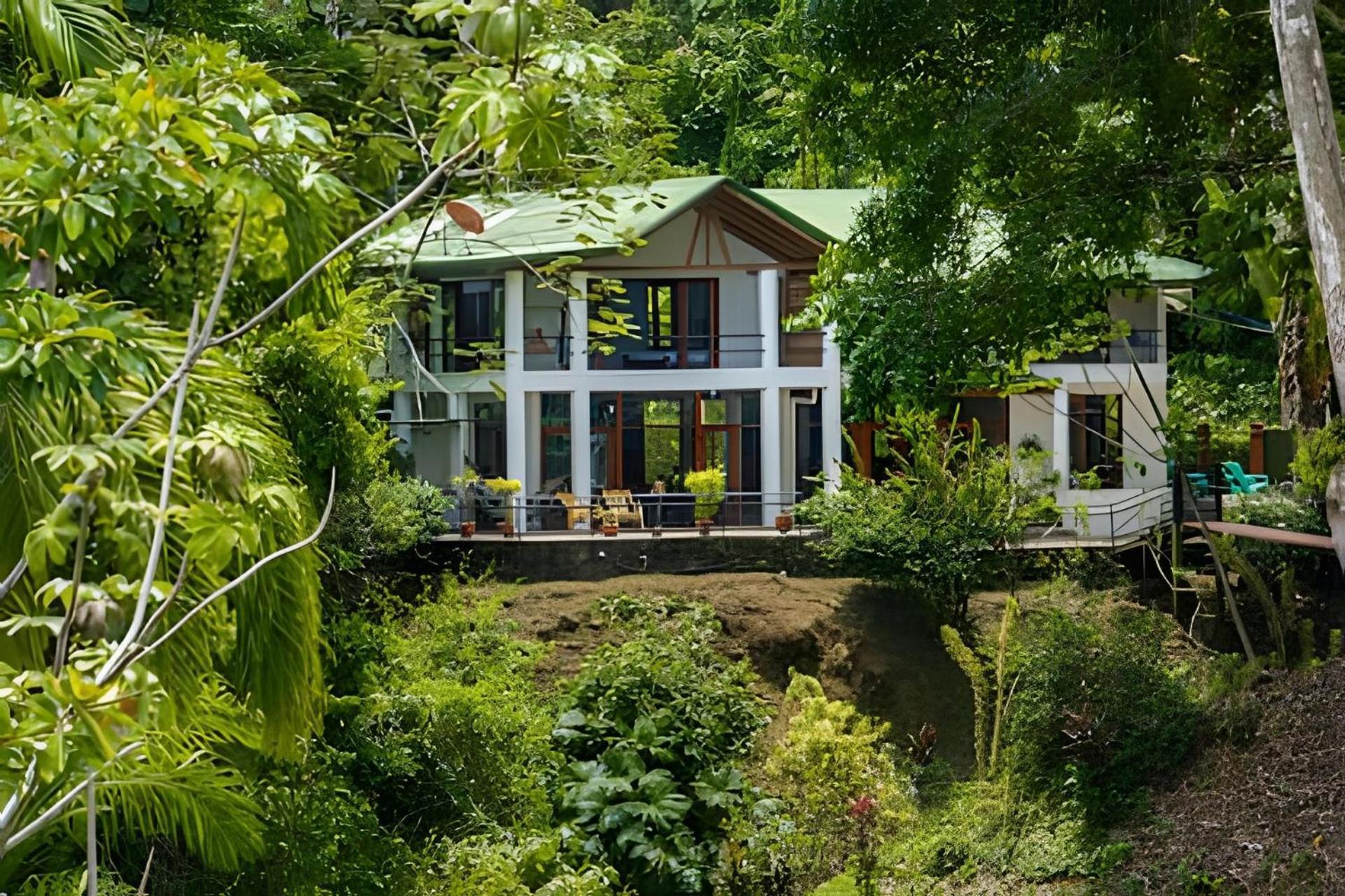 The Jungle Dominicalito
