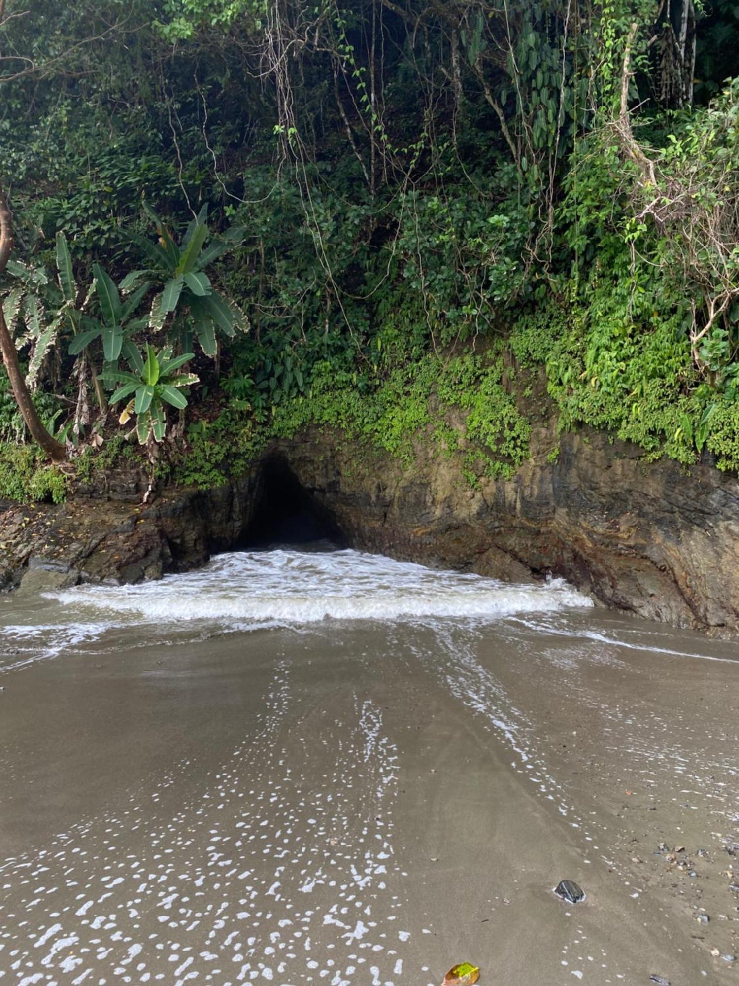 Jungle River *