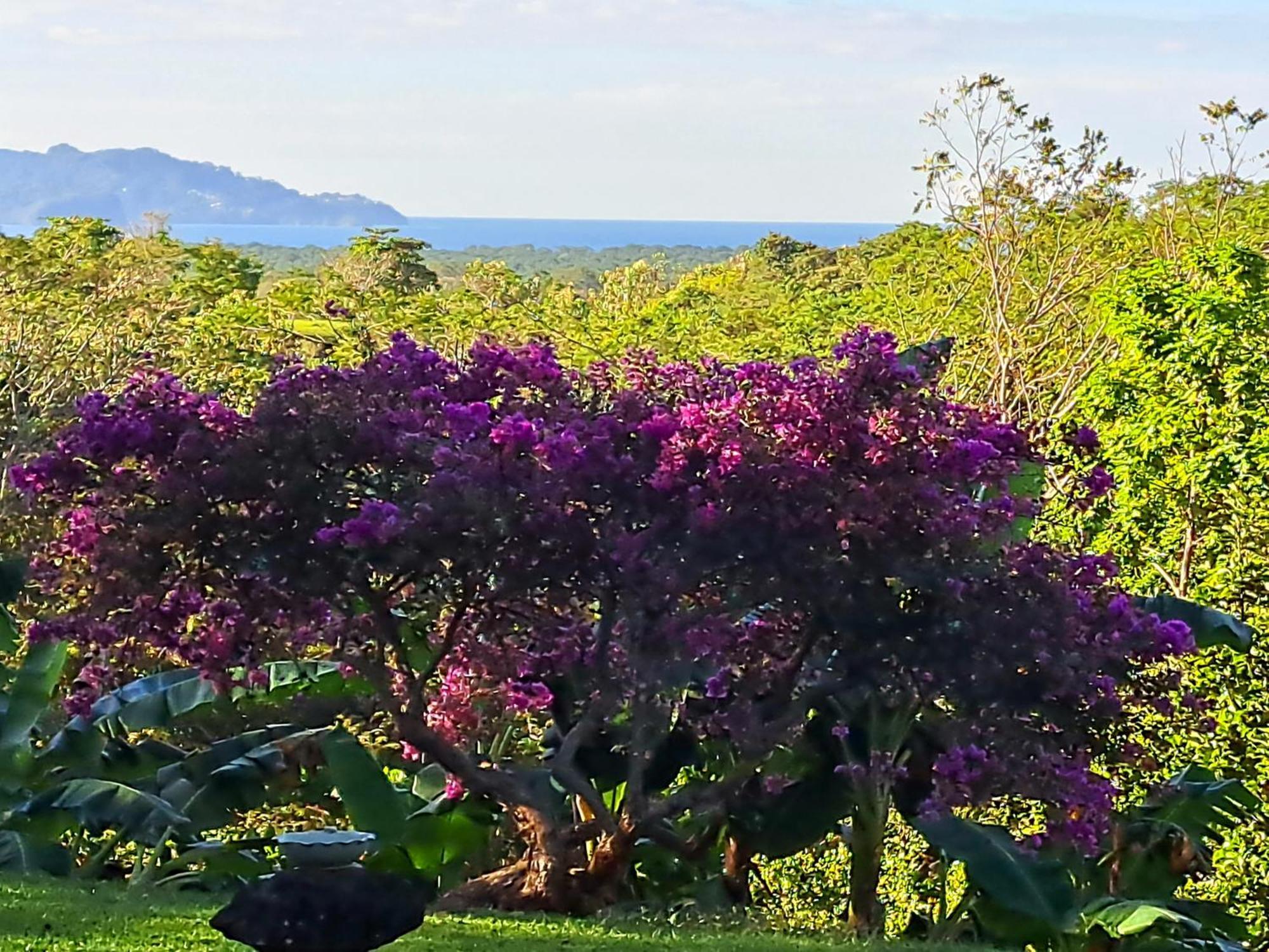 Tucanes Ridge * Tarcoles
