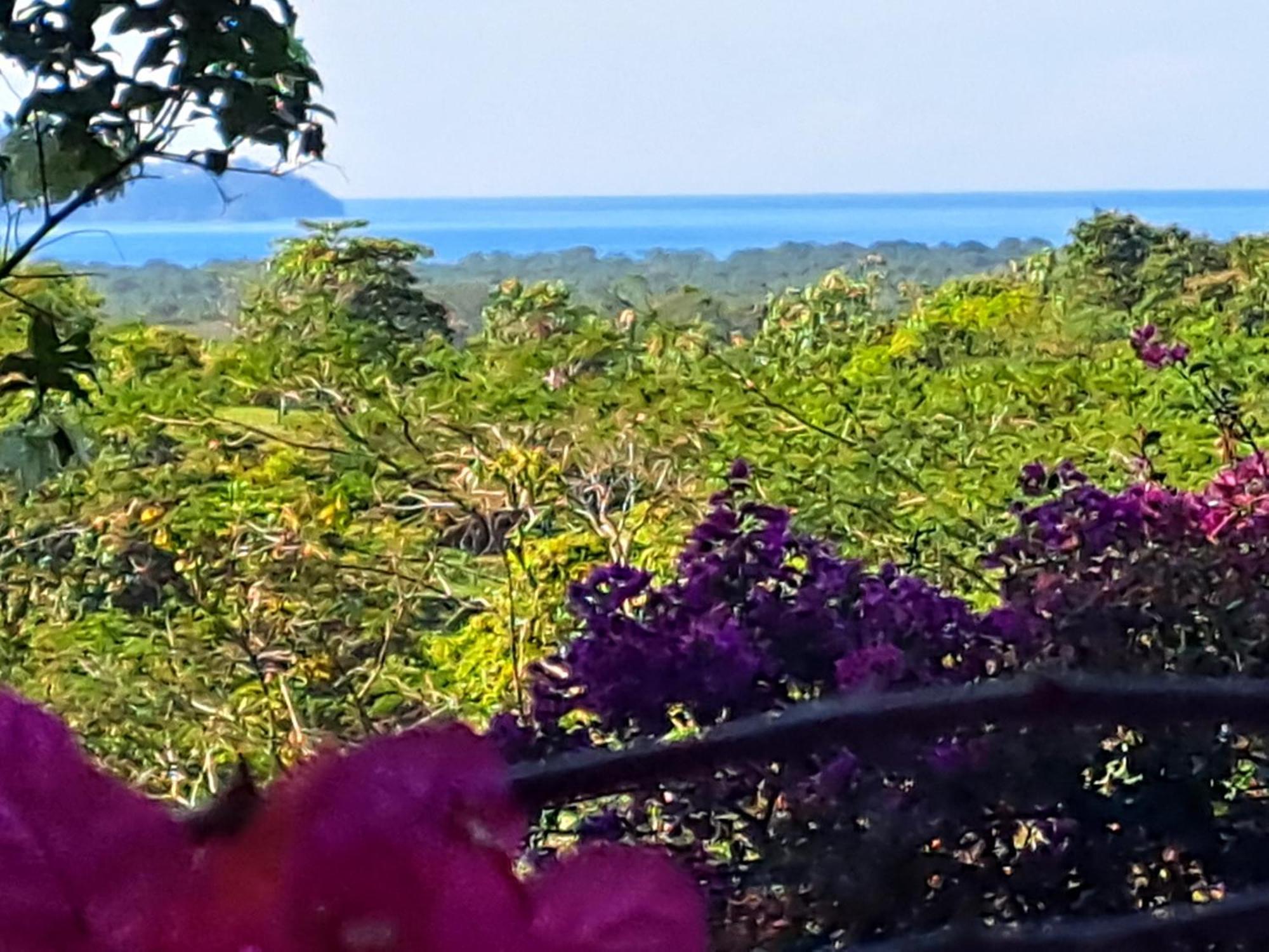 Tucanes Ridge