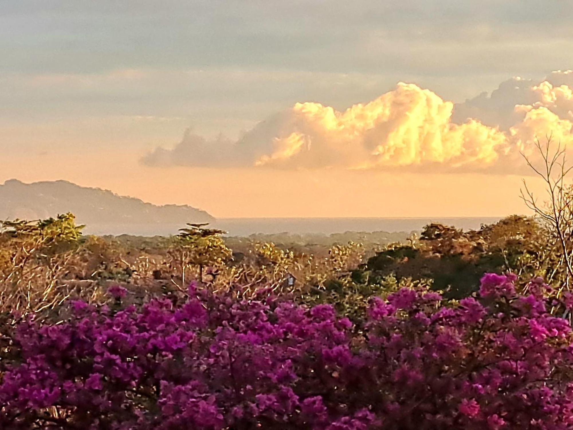 Tucanes Ridge Bed & Breakfast