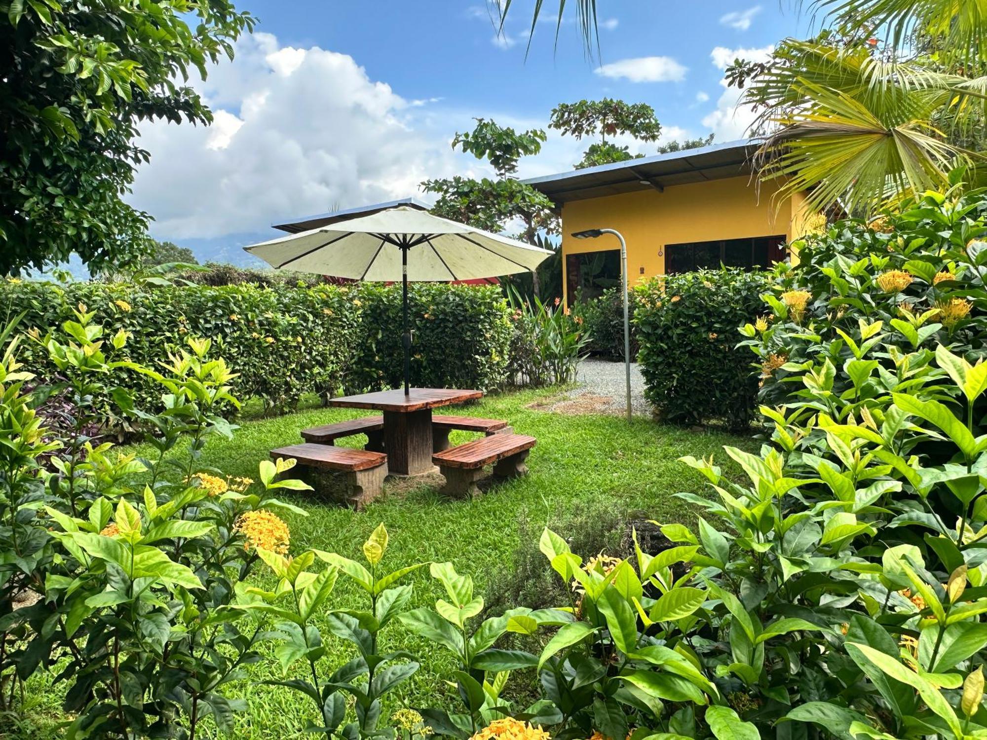 Oasis Retreat With And Holiday home *