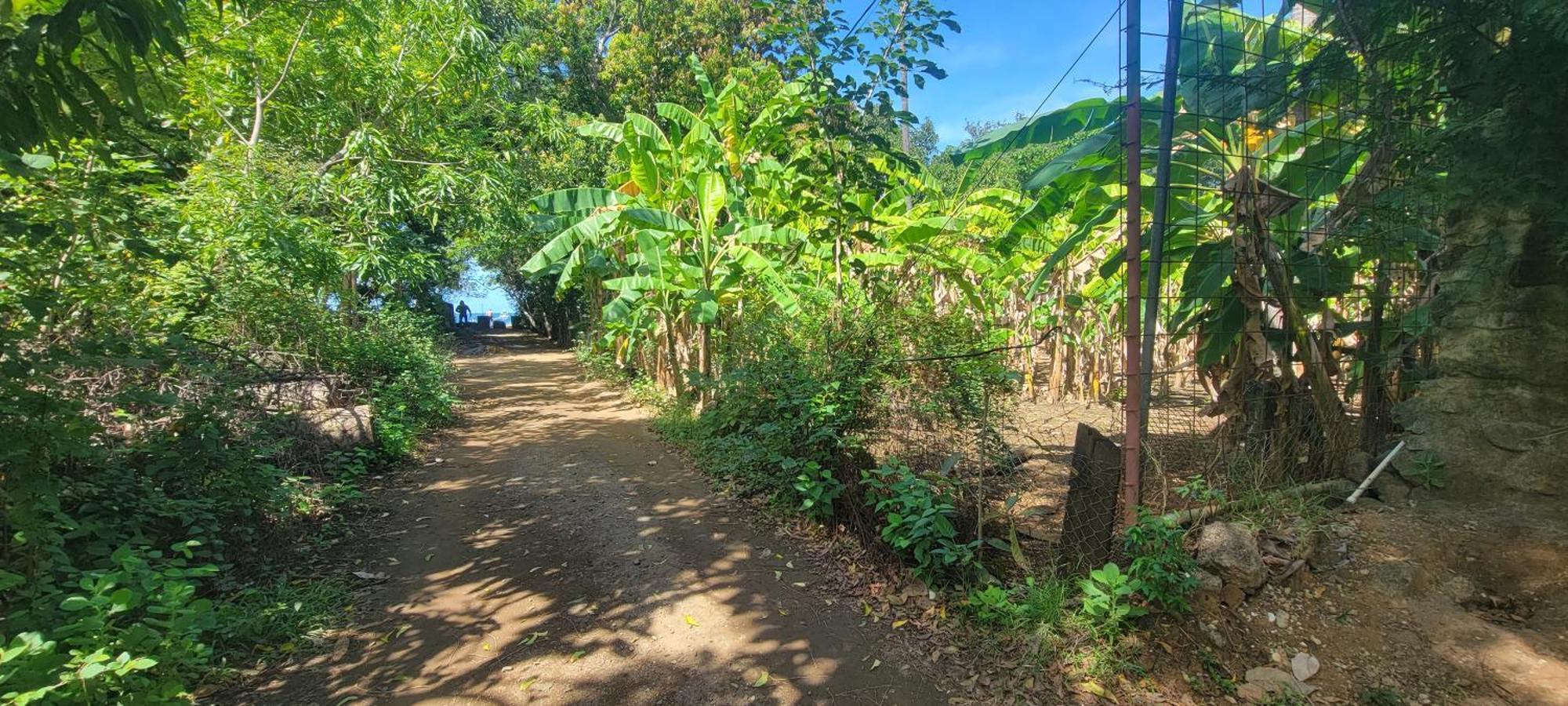Apartment Charming 2br With Ocean View Coco