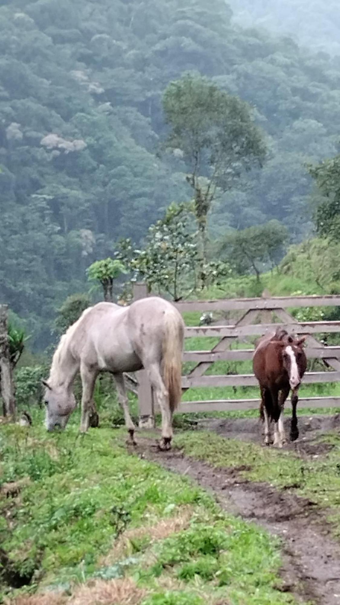 Bed & Breakfast Del Cielo