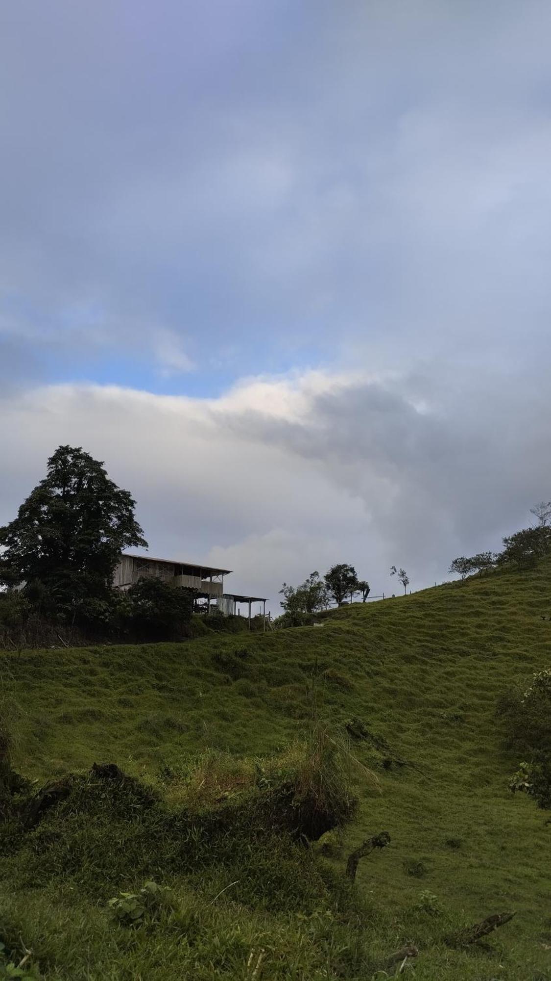 Del Cielo
