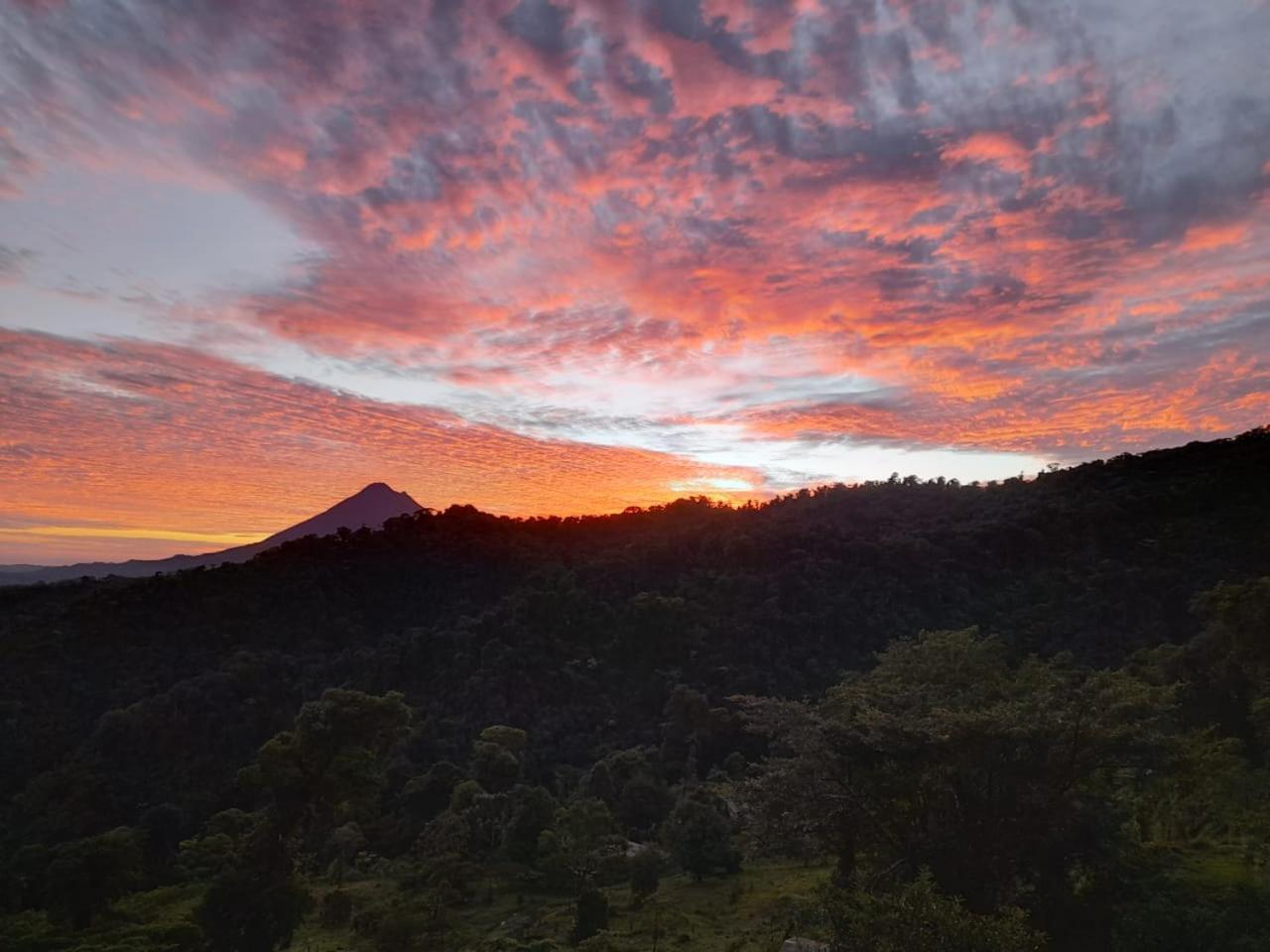 Del Cielo * El Castillo