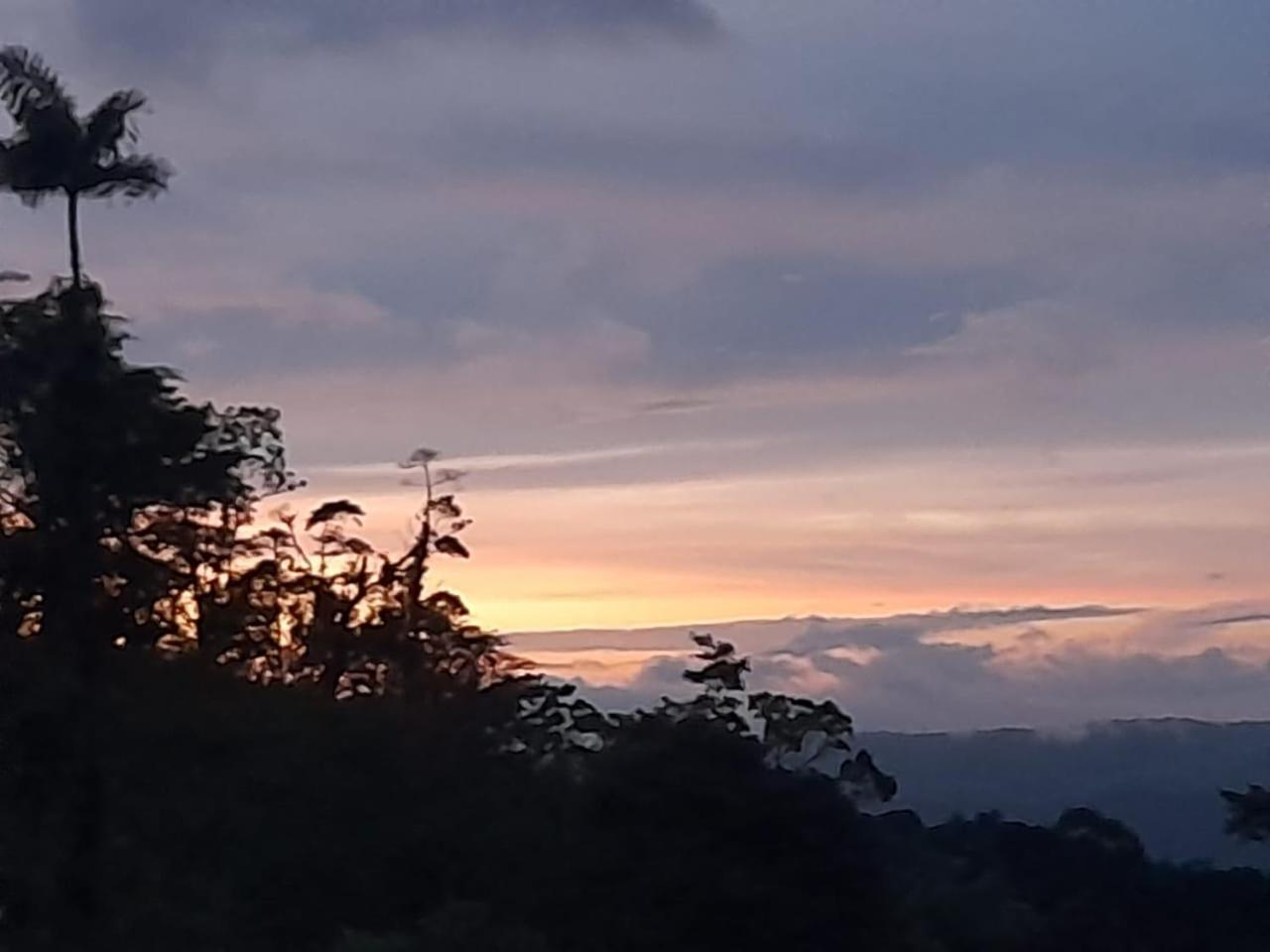 Del Cielo