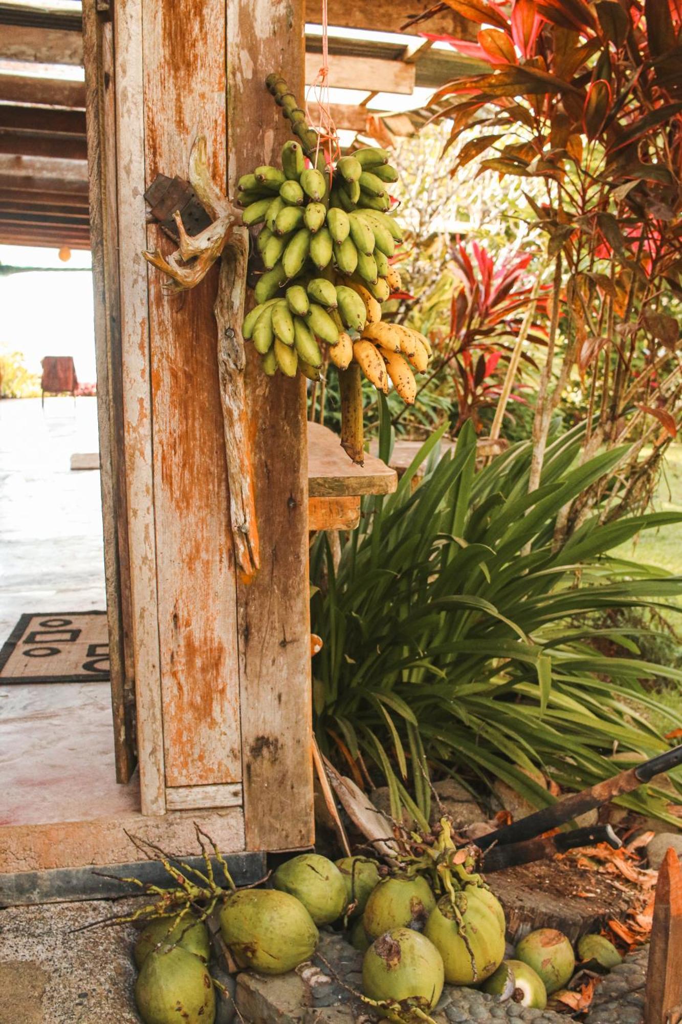 Rustic In Surf Brake Apartment