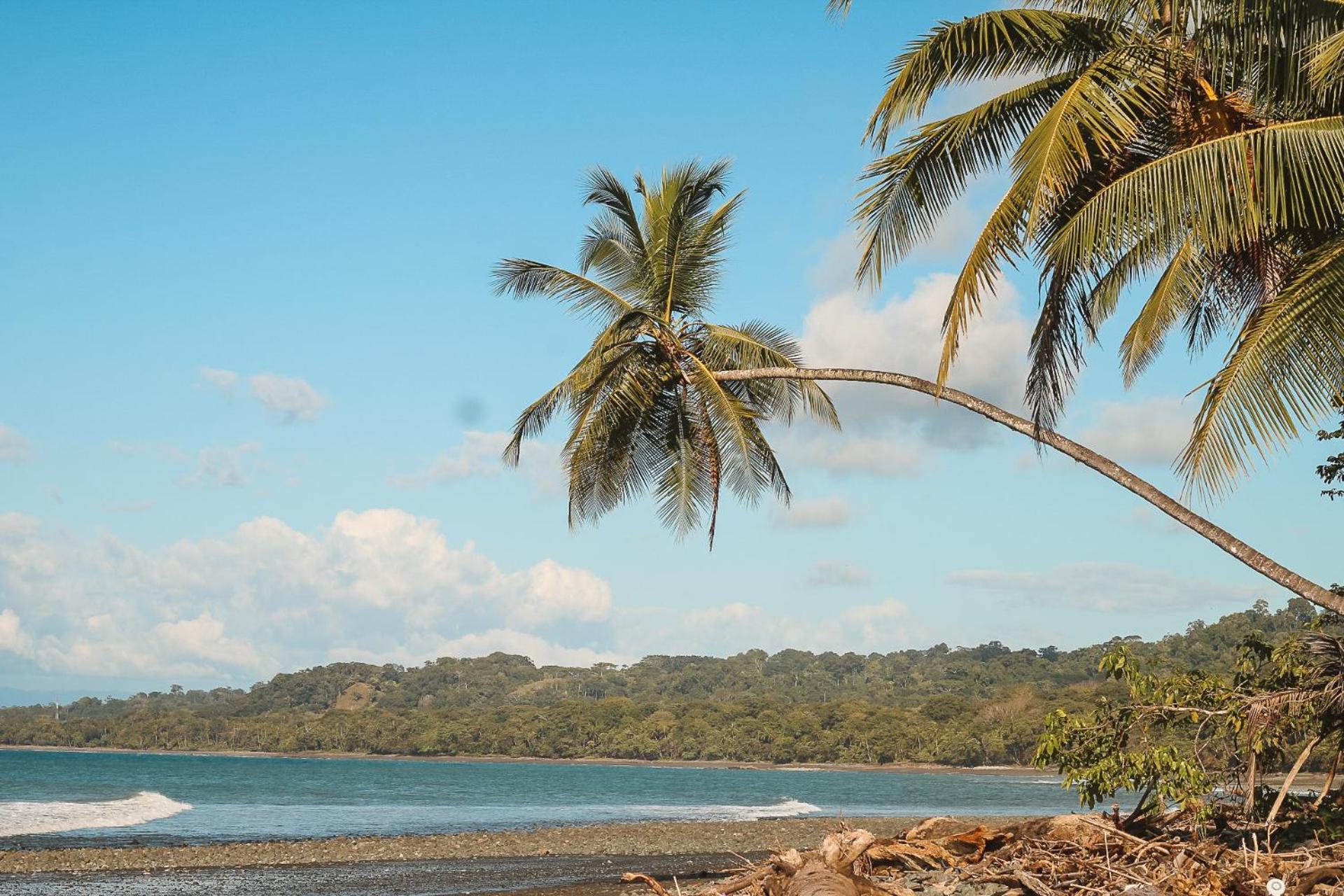 Rustic In Surf Brake Pavones (Puntarenas)