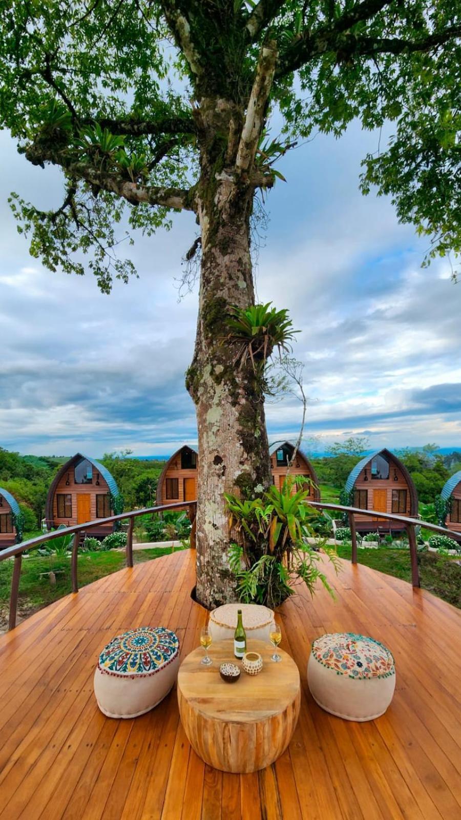 Arenal 360