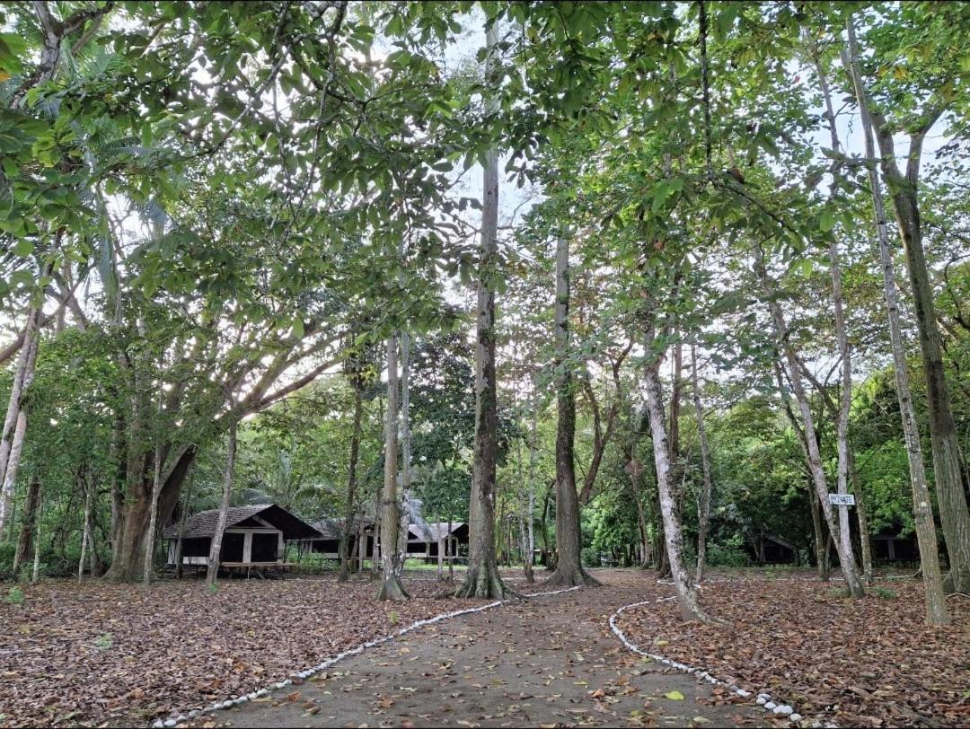 Four Monkeys Eco - Jungle & Lodge