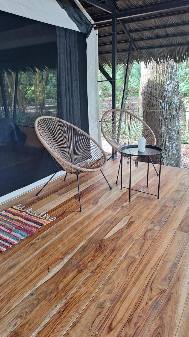 Four Monkeys Eco - Jungle & Lodge *