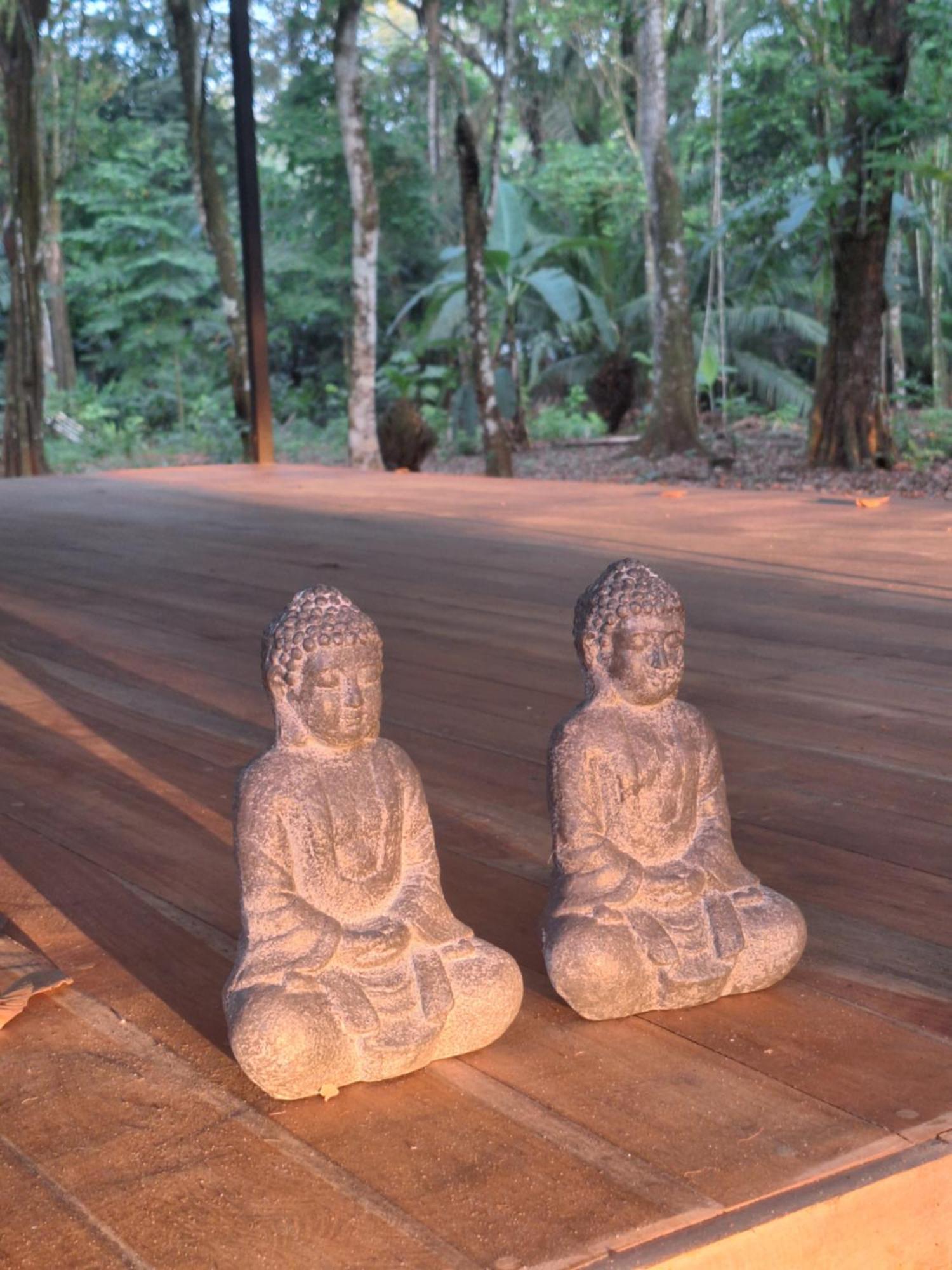 Lodge Four Monkeys Eco - Jungle & *