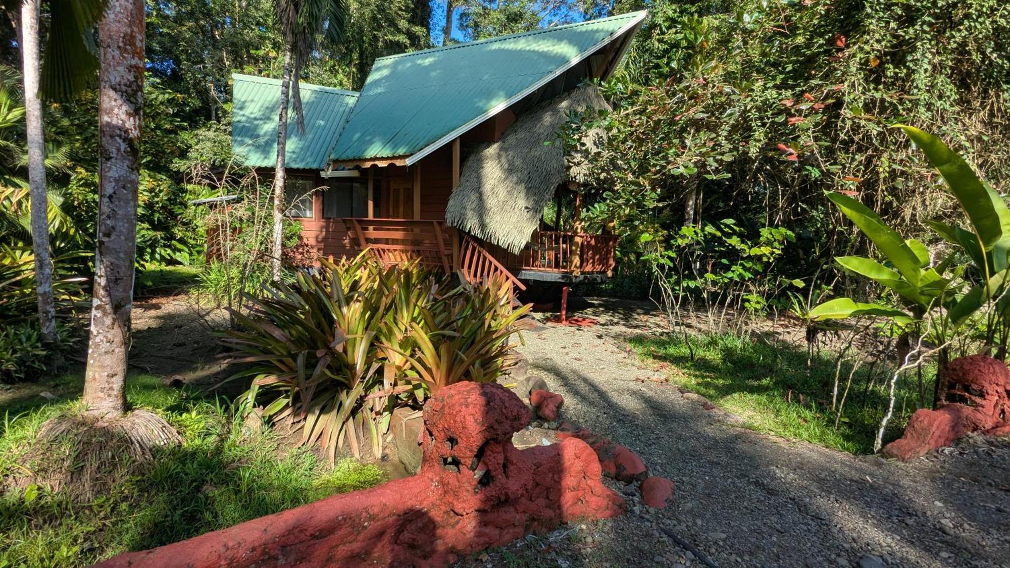 Lodge Tree House Beachfront