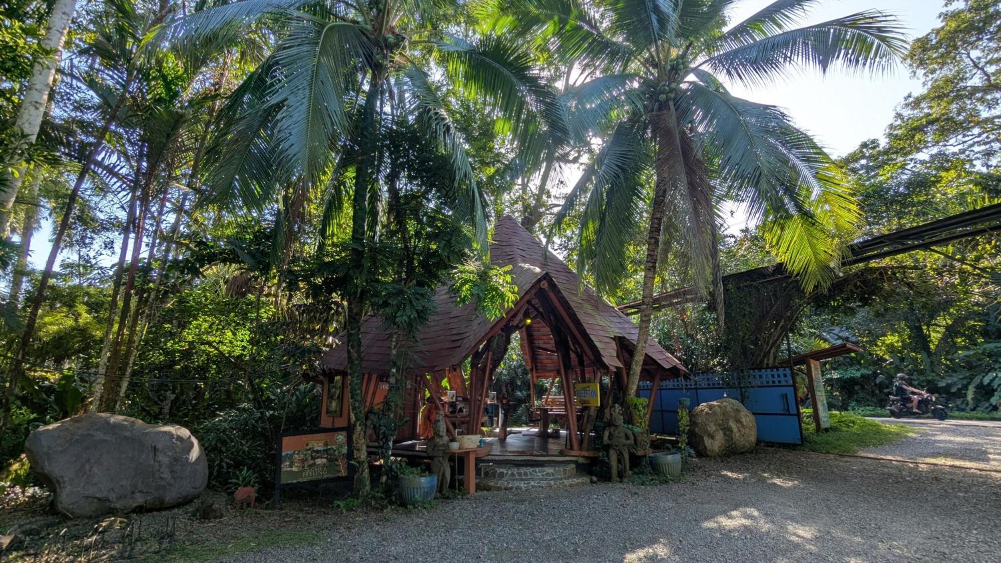 Tree House Beachfront *