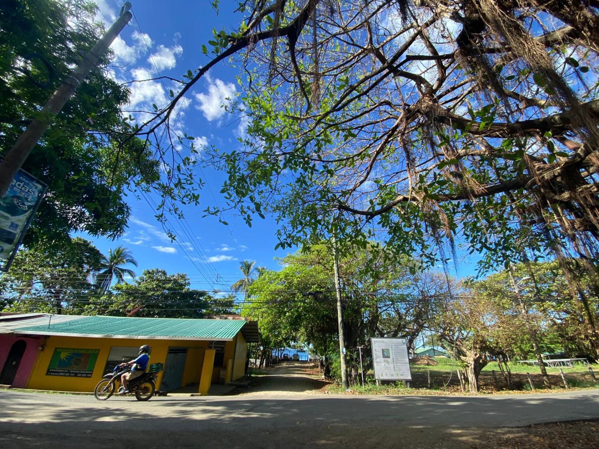 Cabinas Surf Arribadas Hostel Ostional Wildlife Refuge