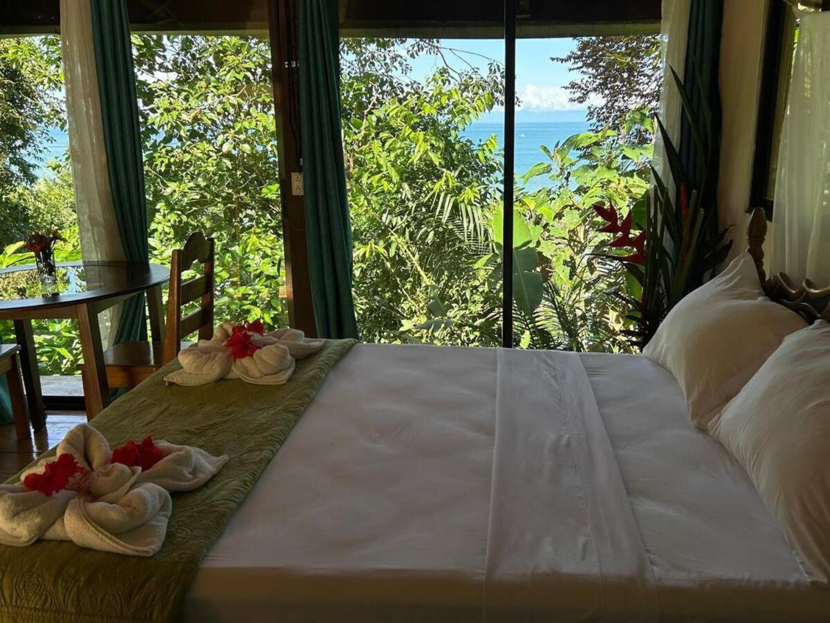 Bed & Breakfast Casa Horizontes Corcovado
