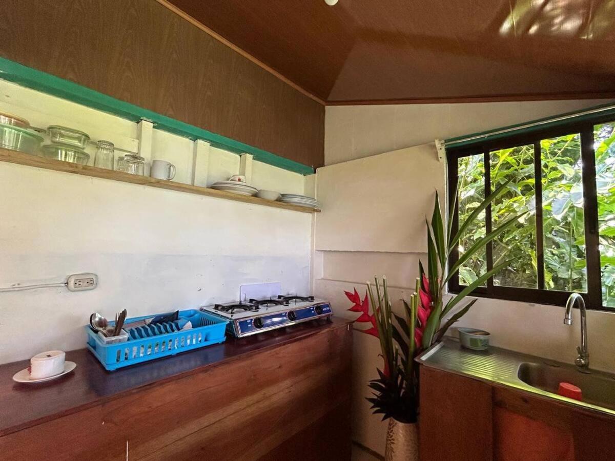 Casa Horizontes Corcovado Bed & Breakfast 2*