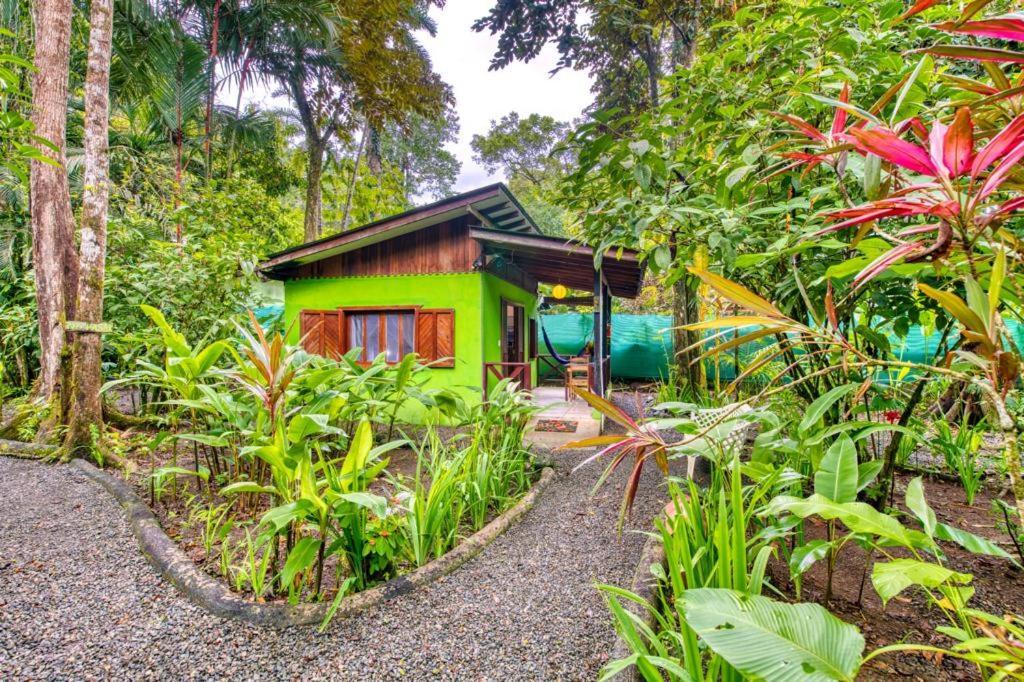 Guest house Pachamama Jungle River - Punta Uva 3*
