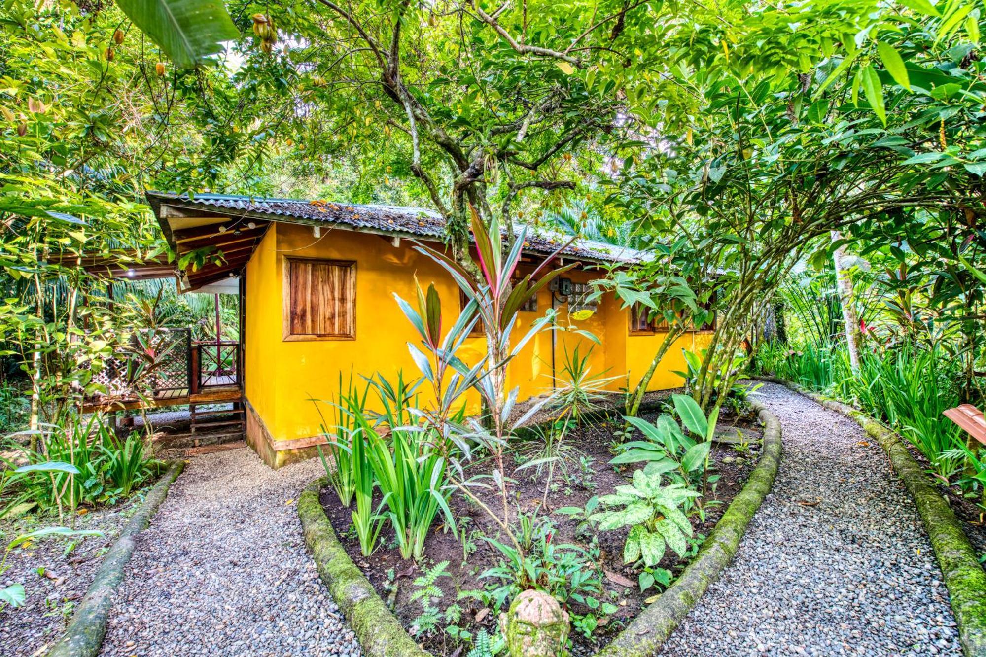 Pachamama Jungle River - Punta Uva