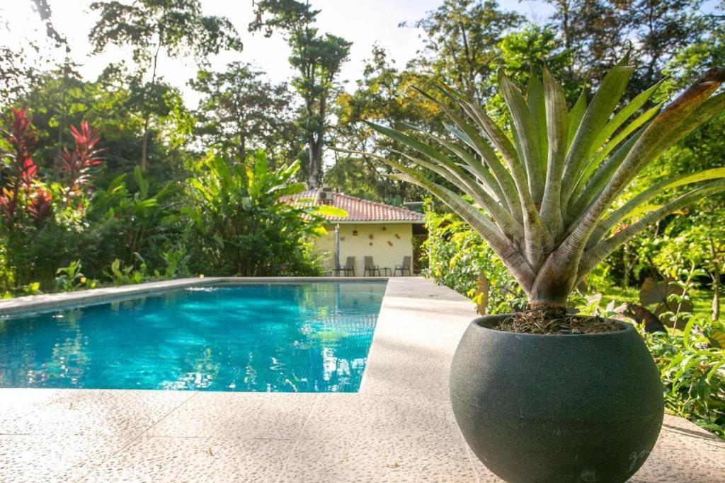 Colores Del Caribe Dependencia Del Casa Merlin Holiday home