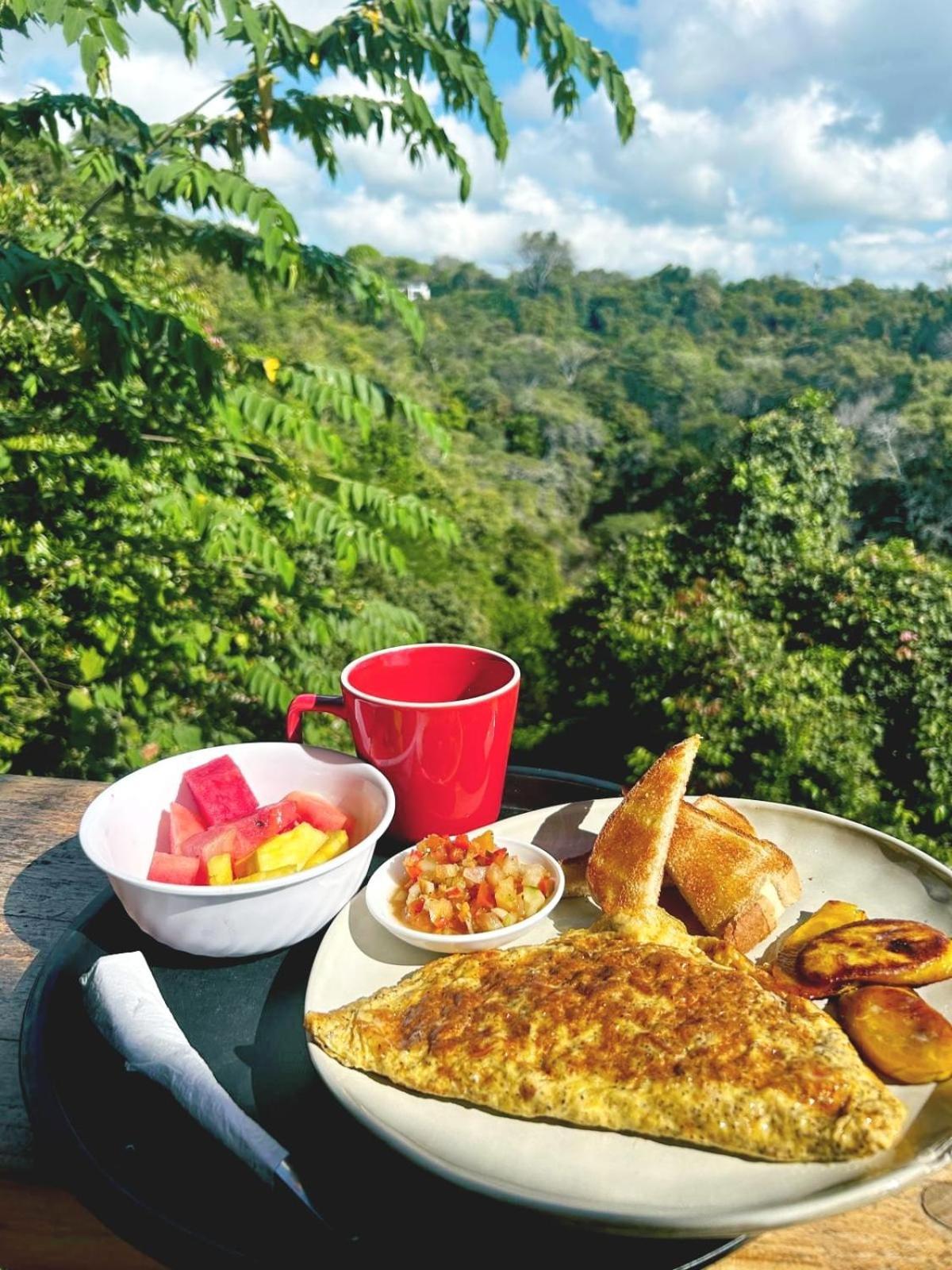 Sunshine Sanctuary Boutique Jungle Montezuma