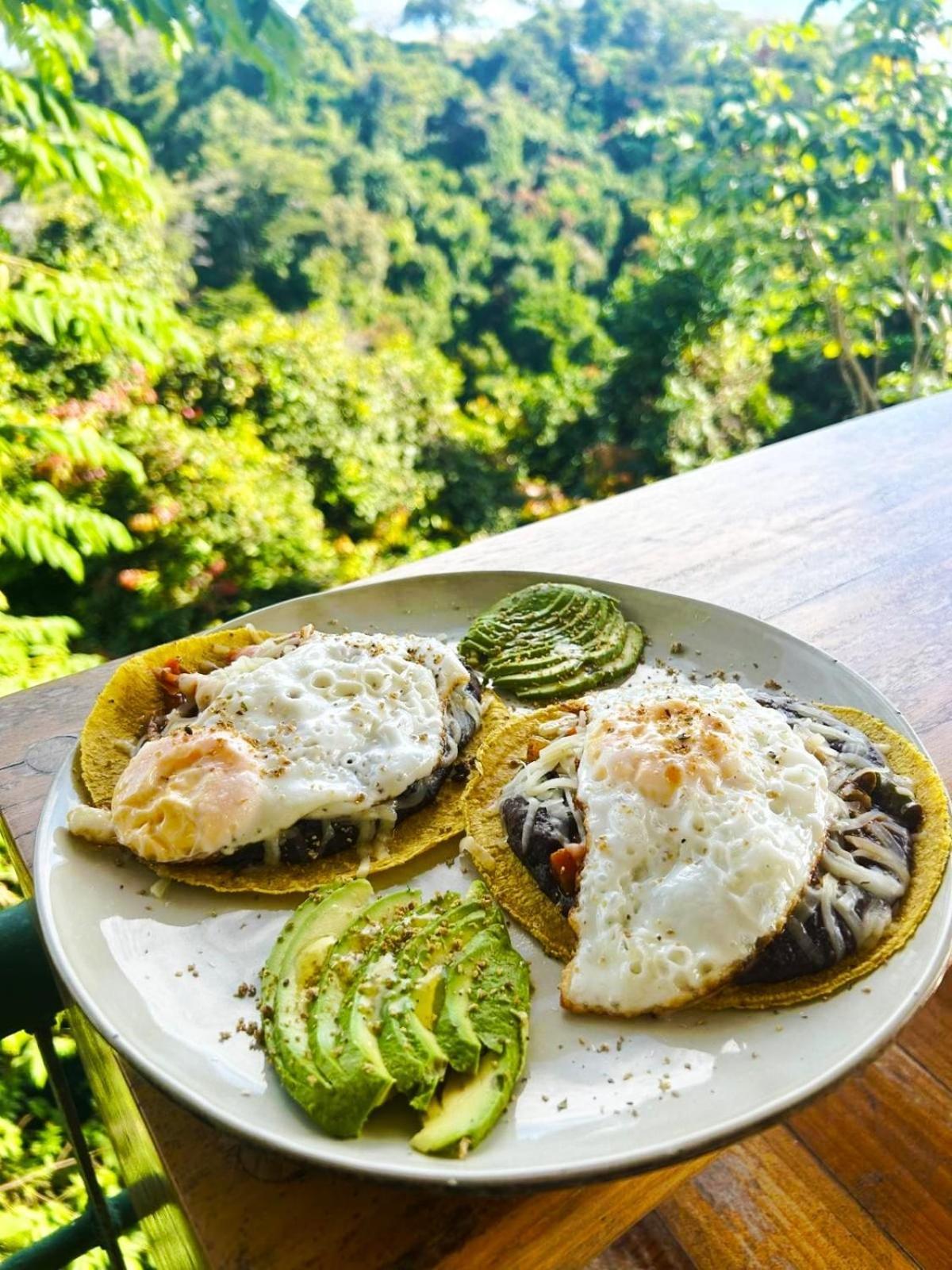 Sunshine Sanctuary Boutique Jungle Lodge *