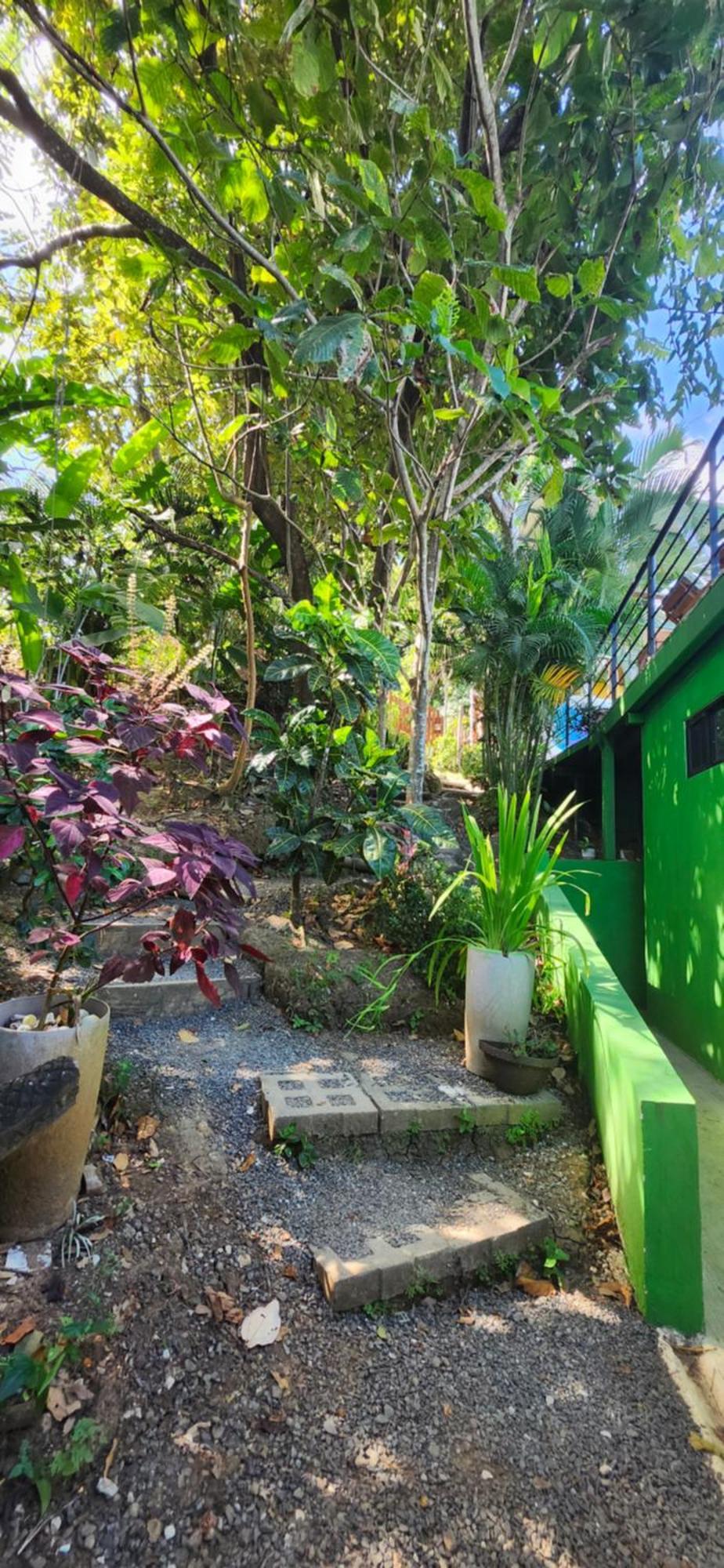 Lodge Sunshine Sanctuary Boutique Jungle Montezuma