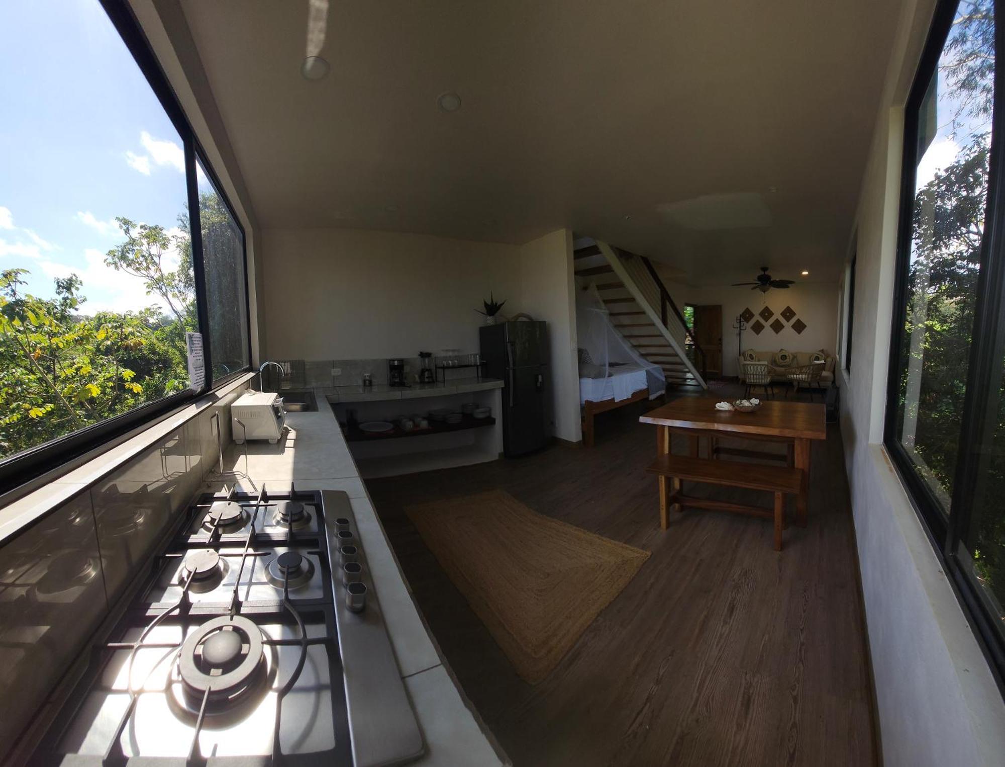 Sunshine Sanctuary Boutique Jungle *