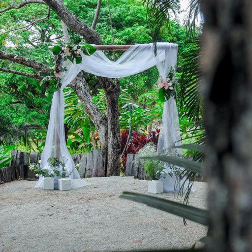 Mikado Natural Hotel 4*