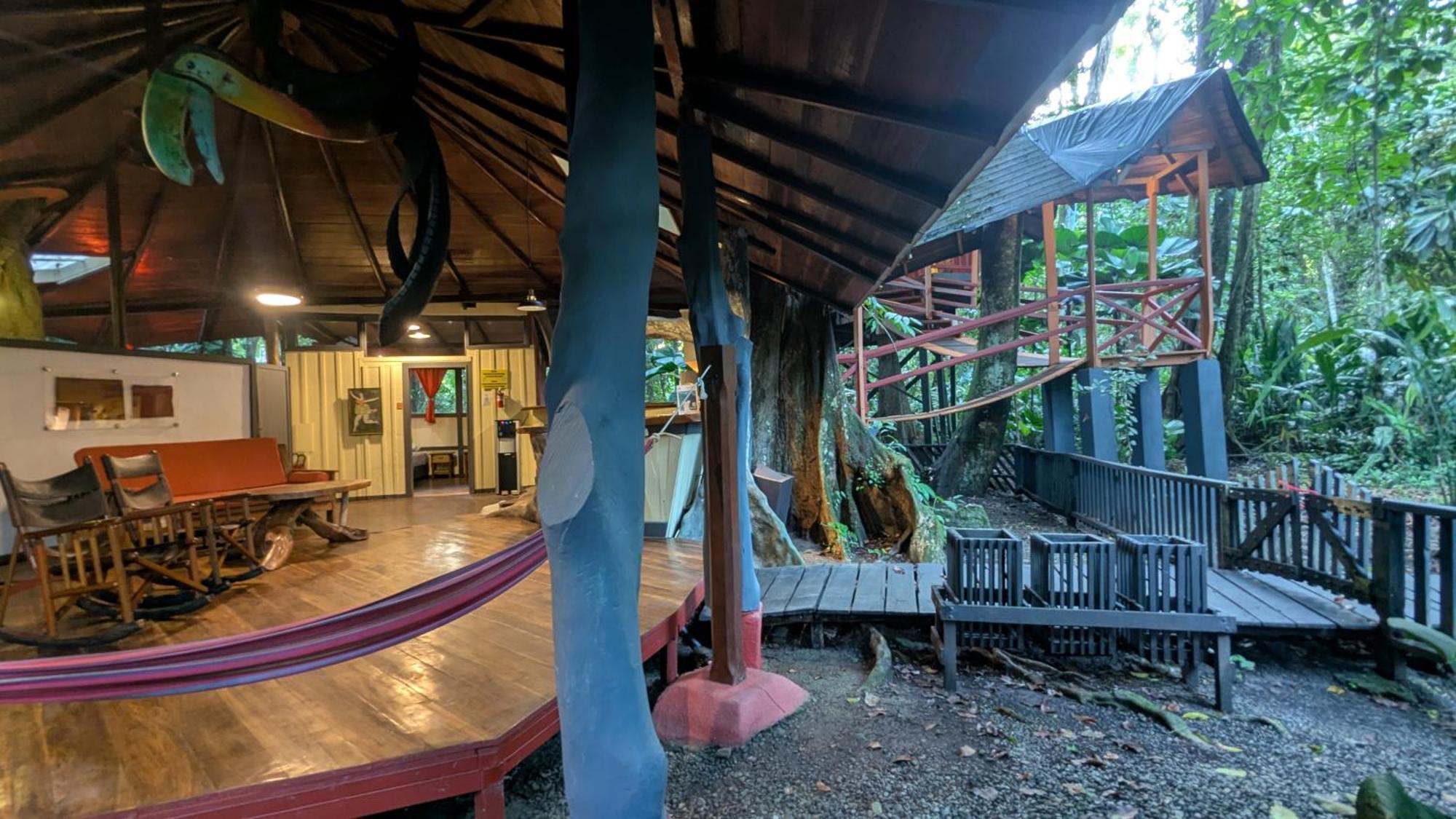 Tree House Beachfront Lodge Puerto Viejo de Talamanca