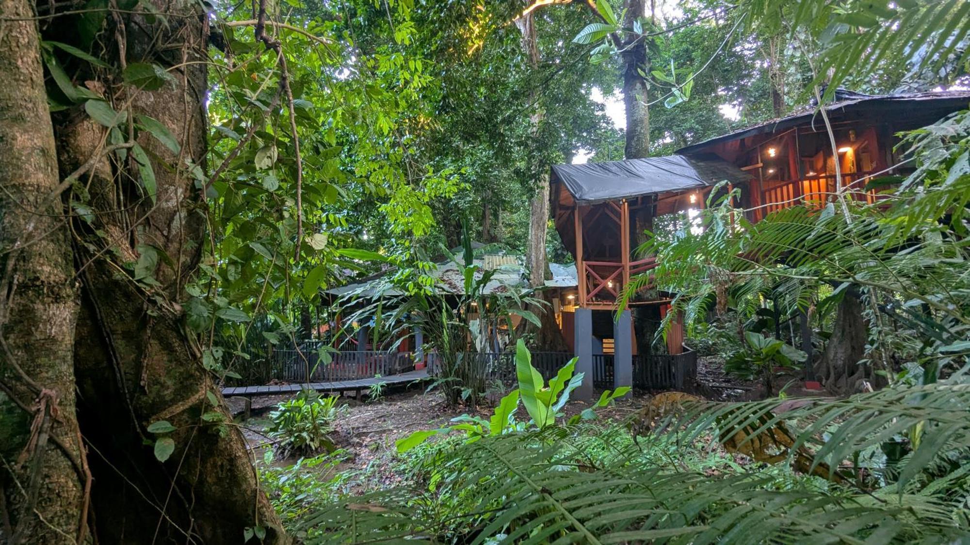 Tree House Beachfront Puerto Viejo de Talamanca