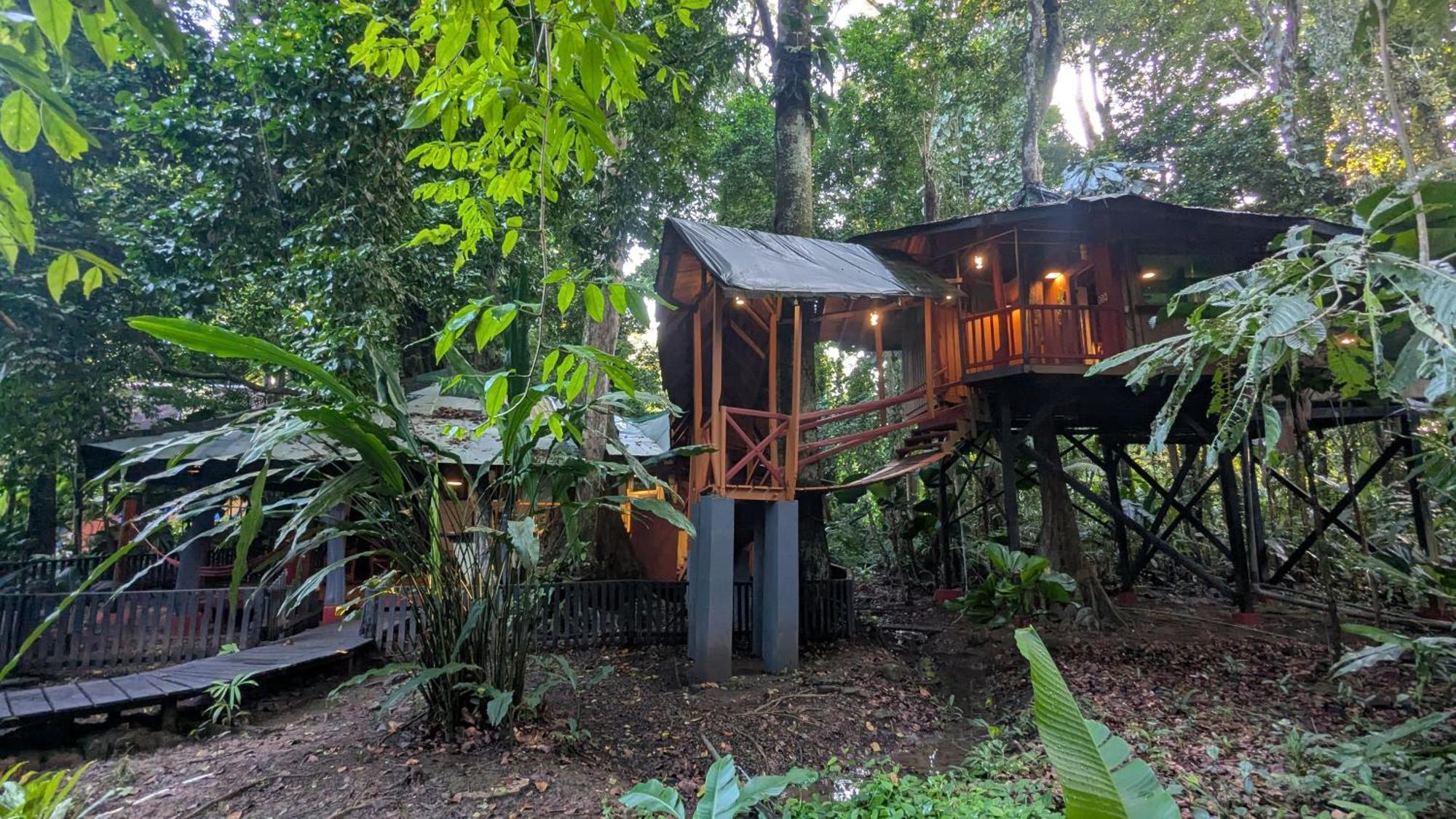 Tree House Beachfront Lodge