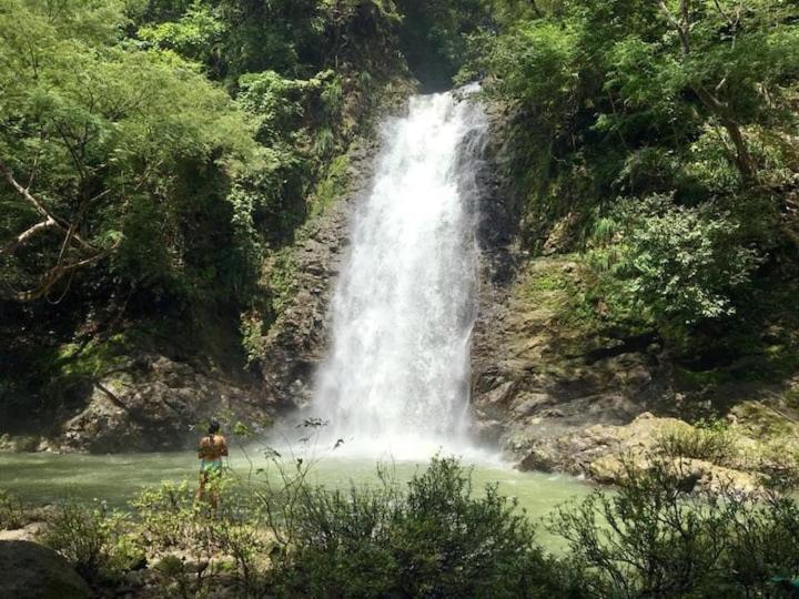 Sunshine Sanctuary Boutique Jungle *