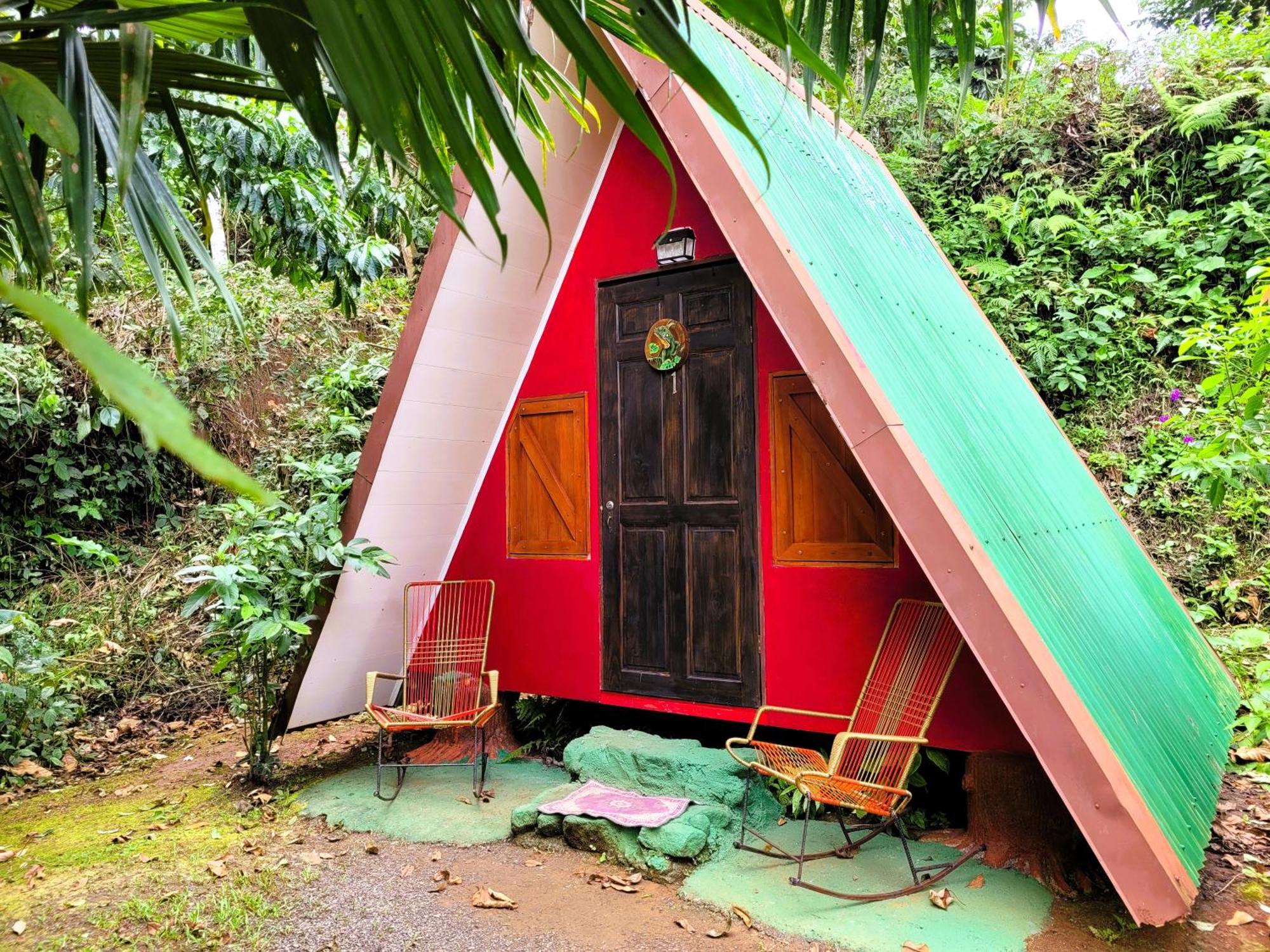 Silencio Del Bosque * La Fortuna