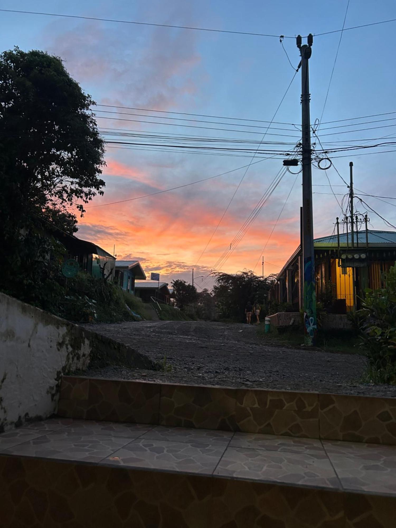 Ceiba Hotel