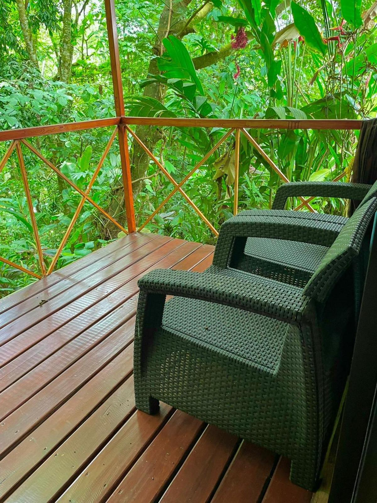 El Bosque Del Arenal Guayabal (Alajuela)