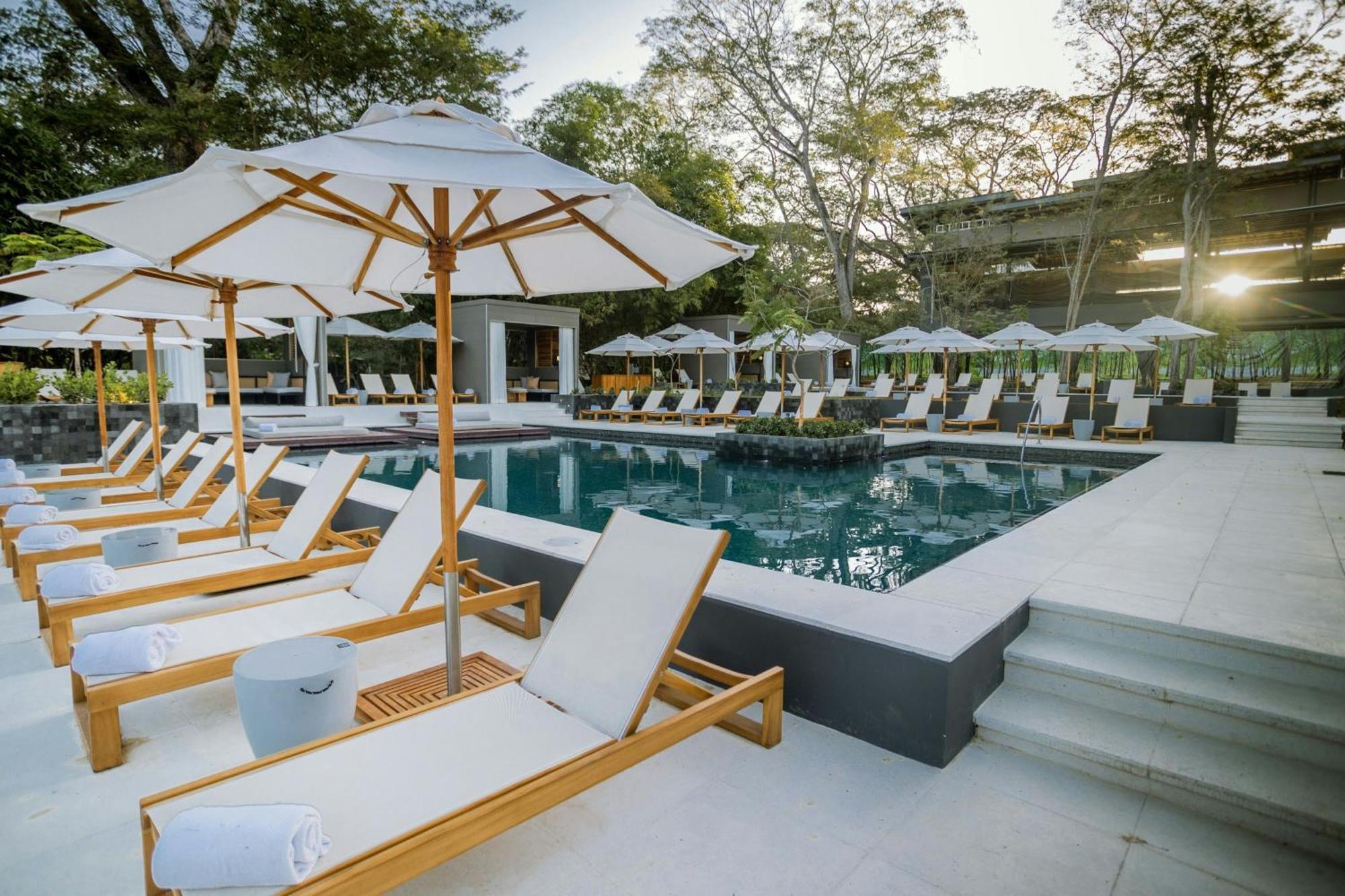 El Mangroove Papagayo, Autograph Collection