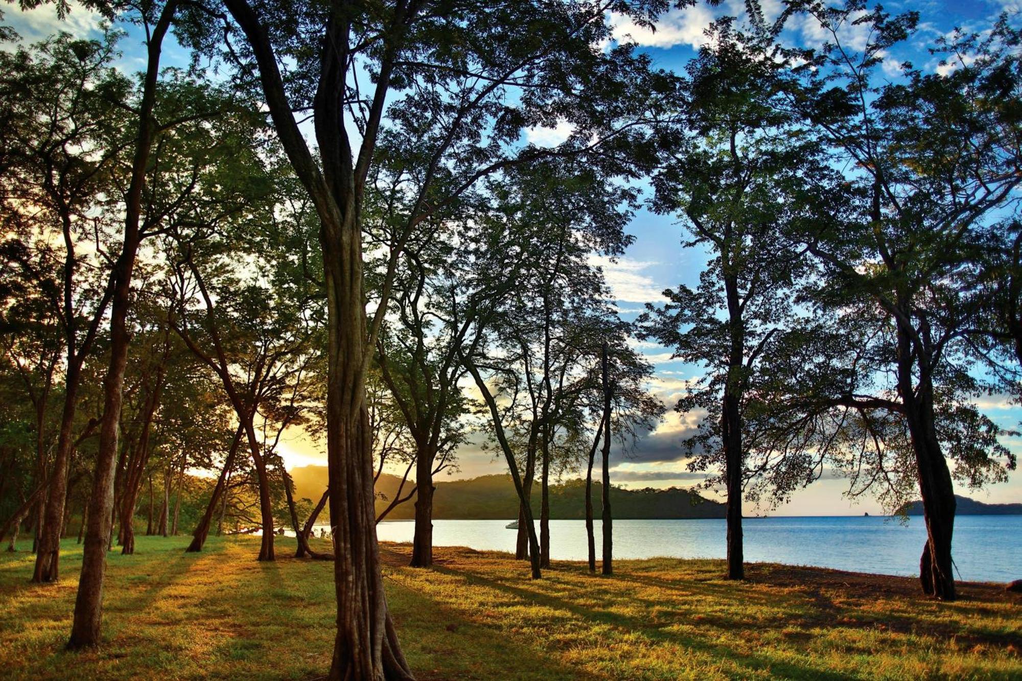 El Mangroove Papagayo, Autograph Collection Playa Hermosa (Guanacaste)