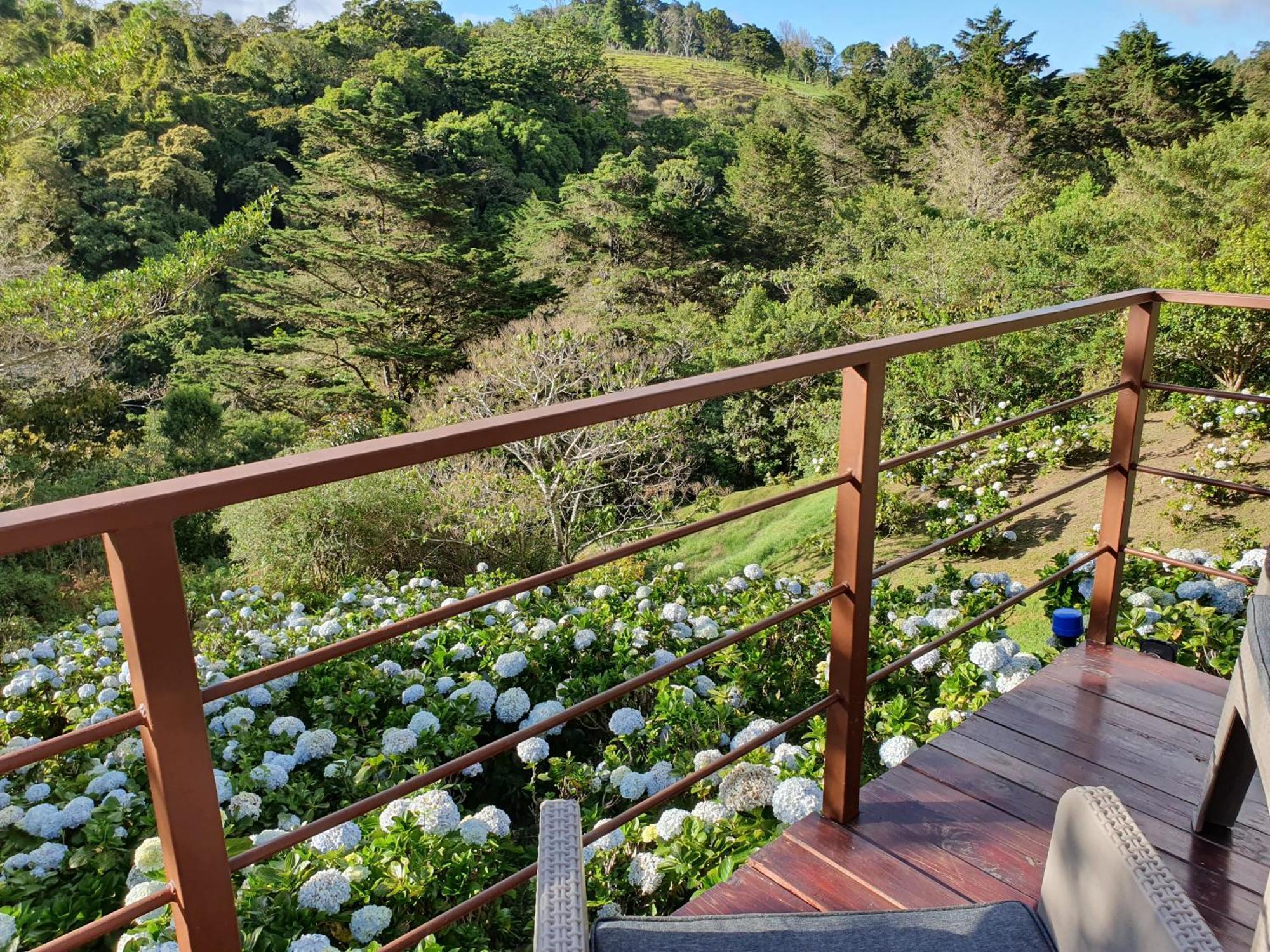 Quinta Esencia Lodge Alajuela