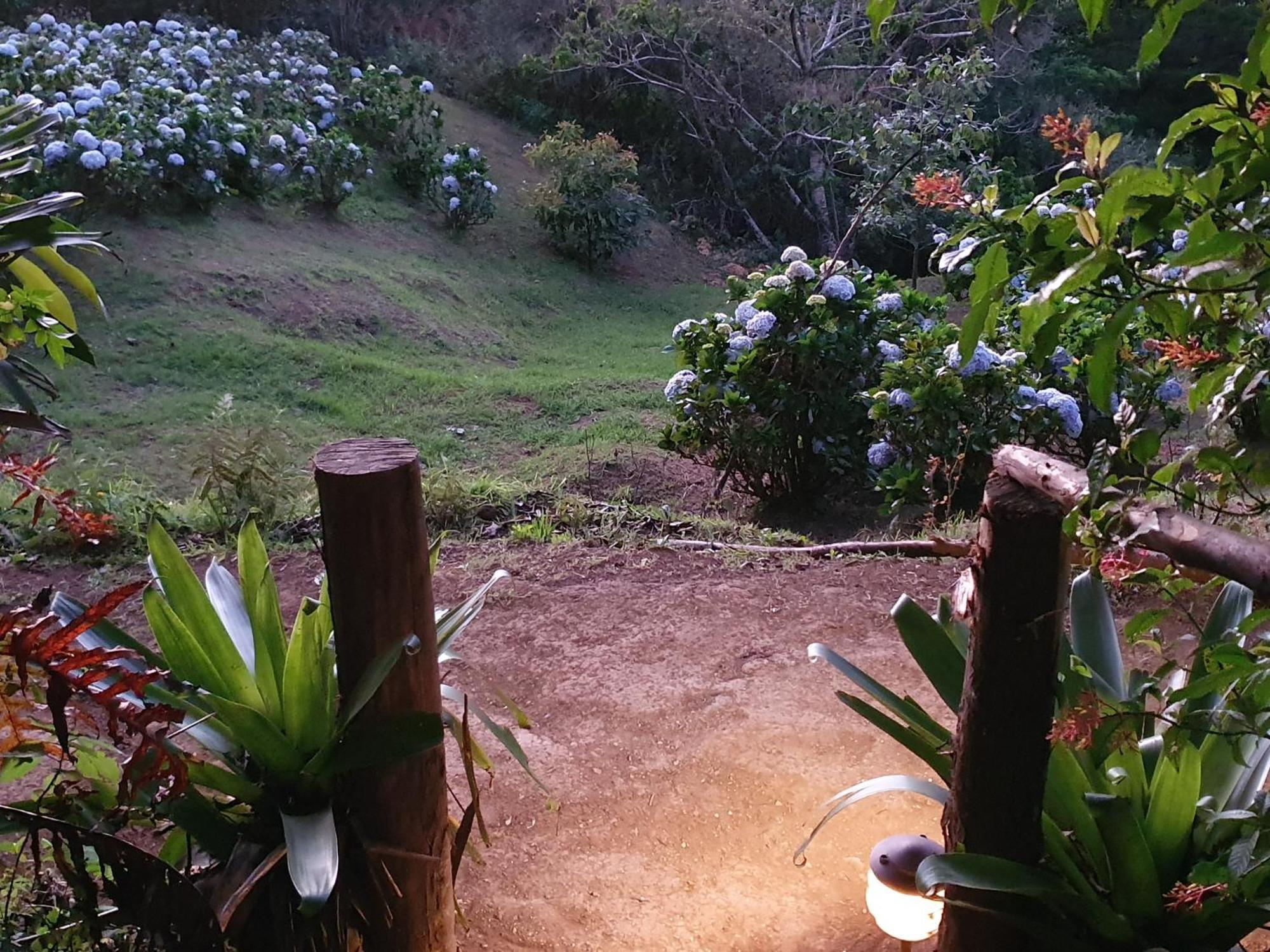 Lodge Quinta Esencia Alajuela