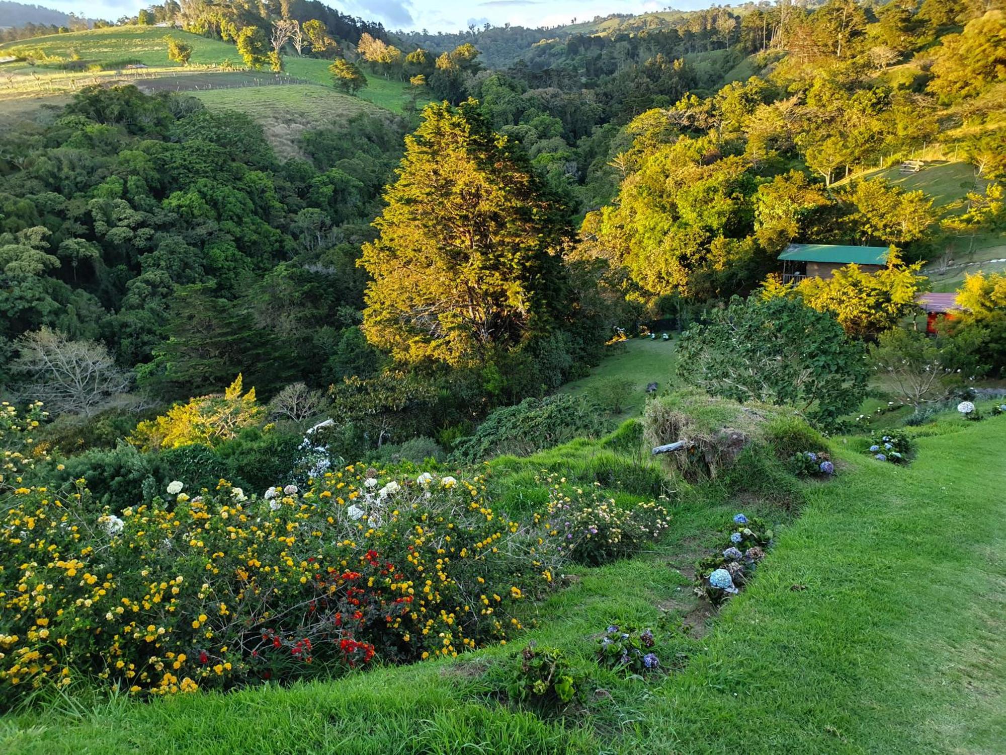 Quinta Esencia * Alajuela