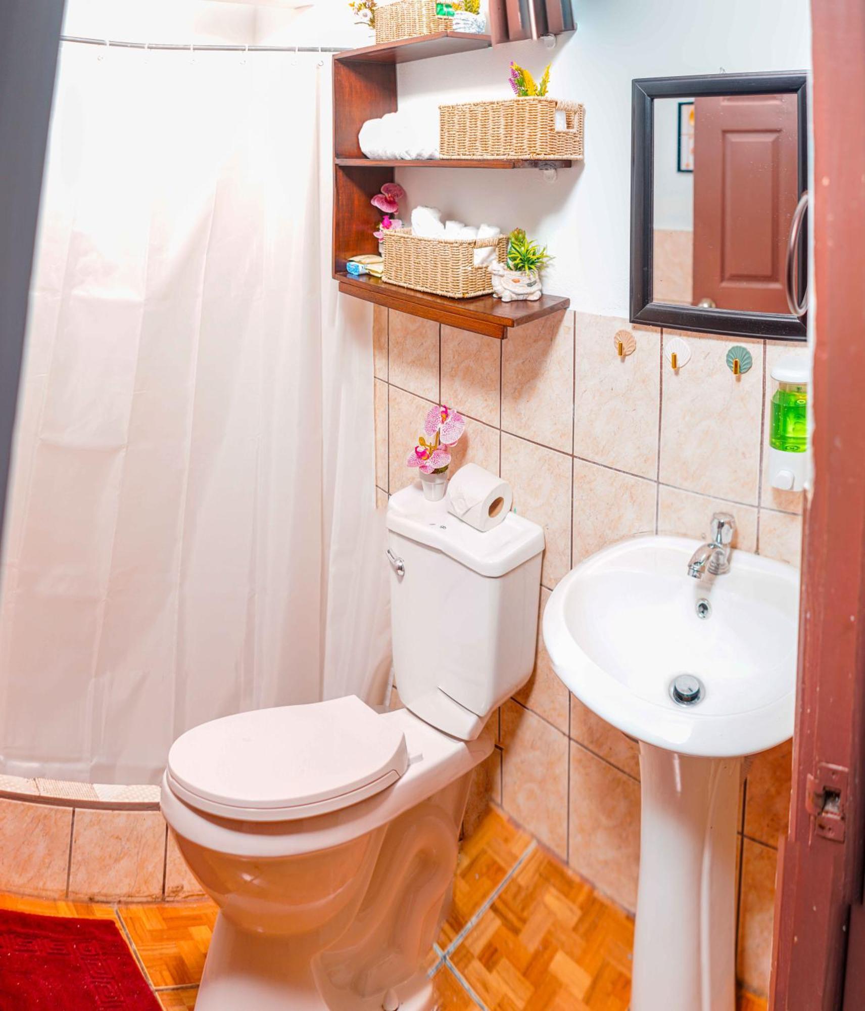 Coati Del Arenal Apartment *