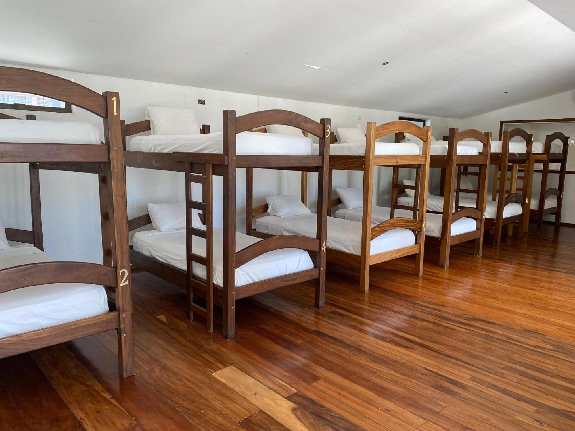 Casa Aura: Beachfront Premium *