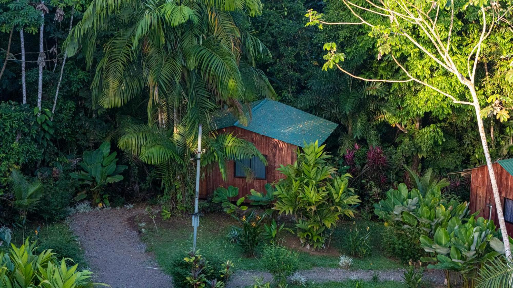 Citronela Corcovado Hotel Drake Bay
