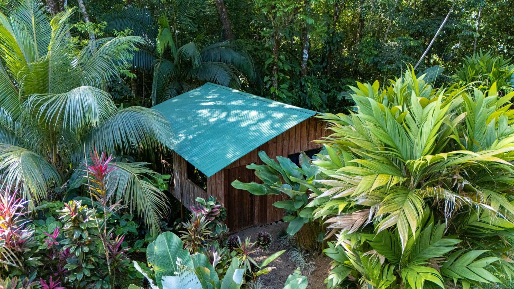 Citronela Corcovado 2* Drake Bay