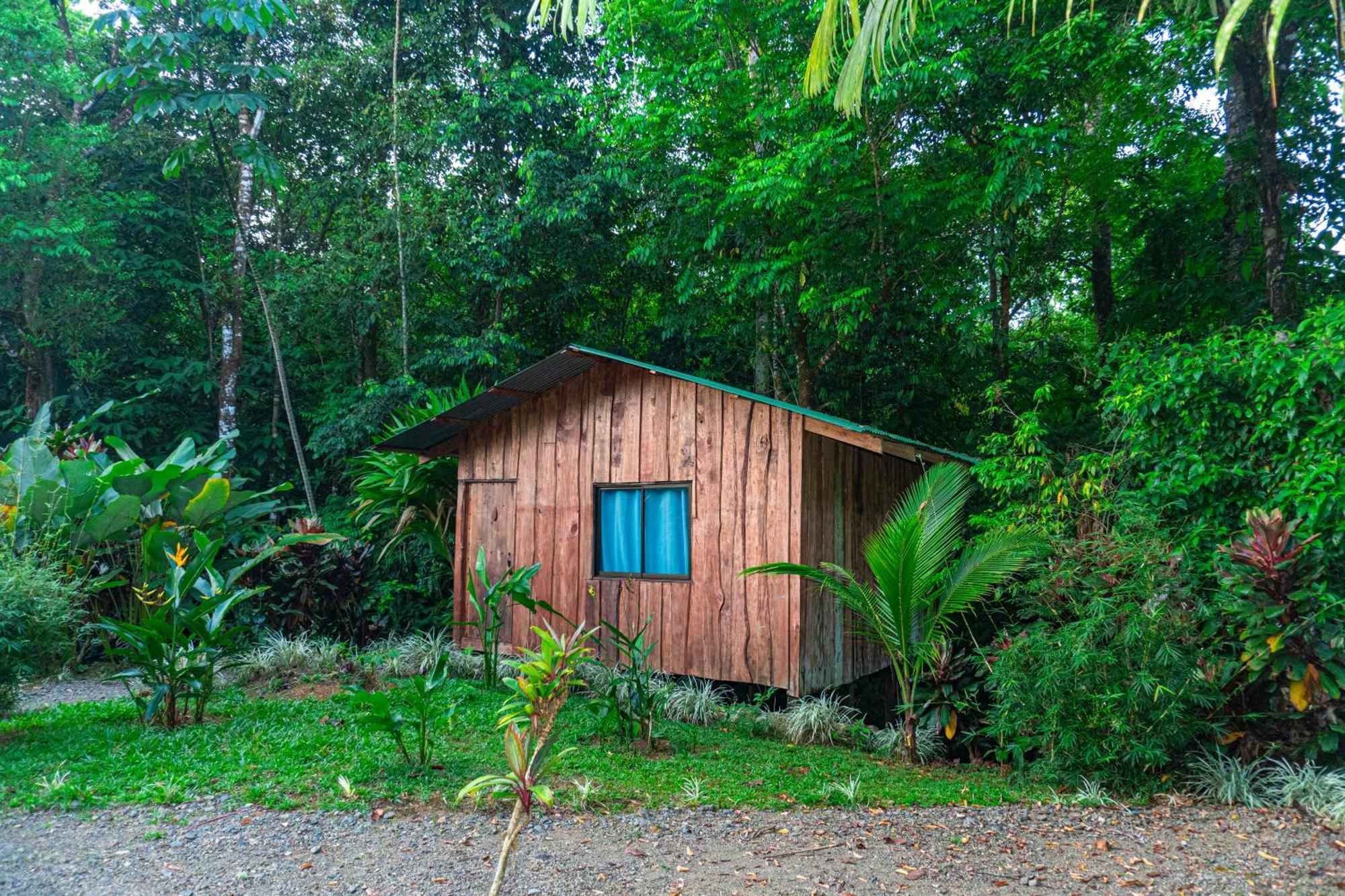 Citronela Corcovado Drake Bay